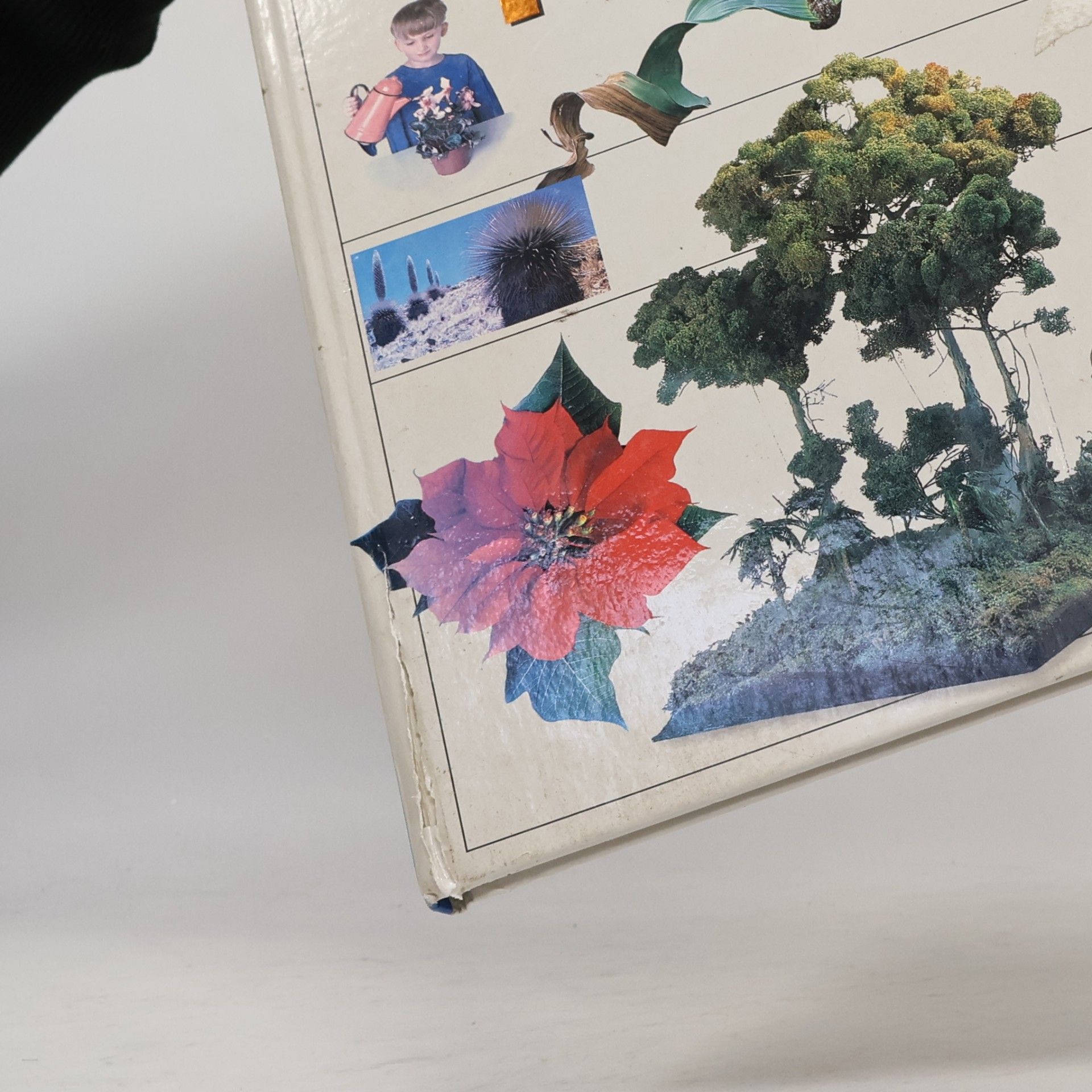 Unknown Author Welt des Wissens, Das große Buch der Pflanzen