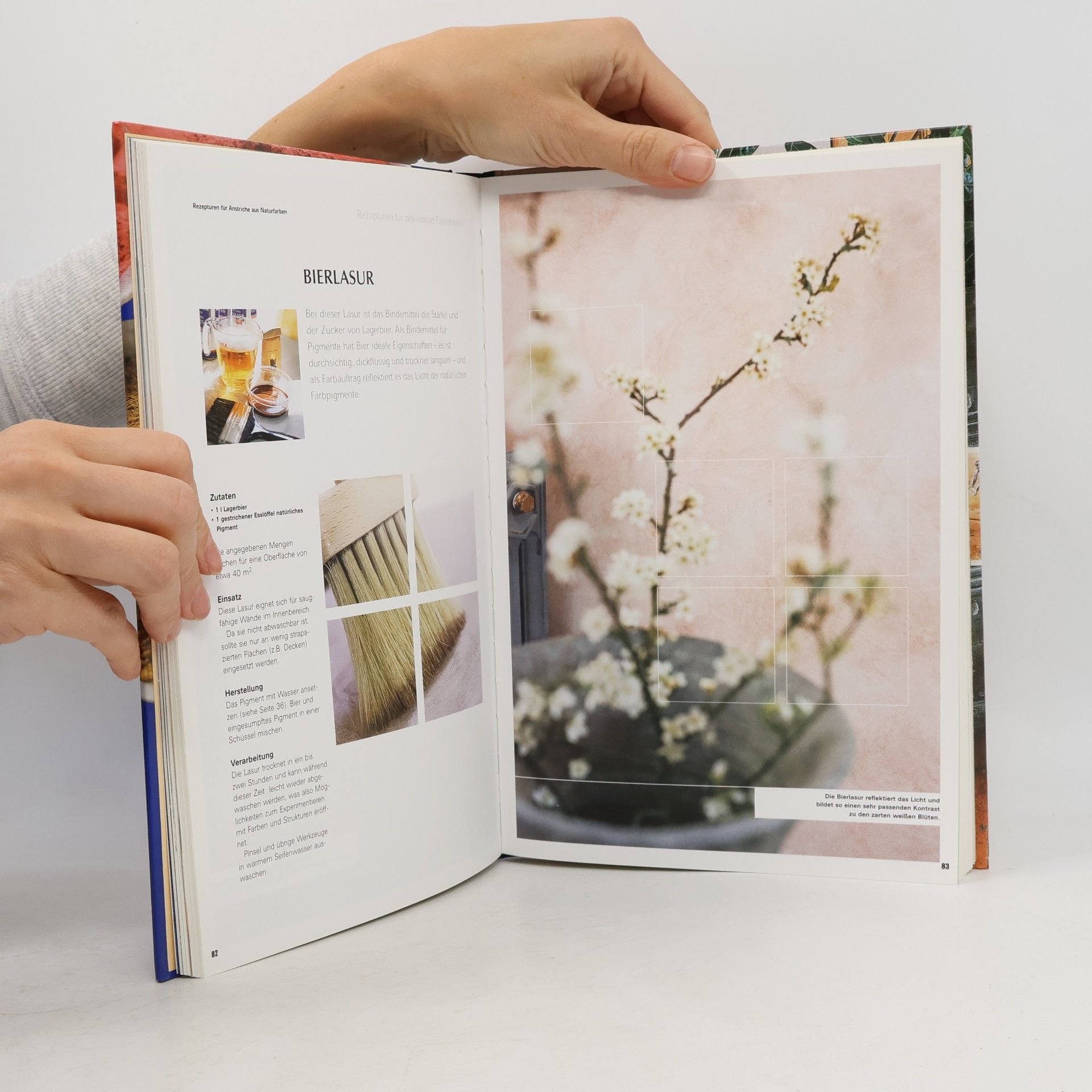 Lynn Edwards Naturfarben Handbuch