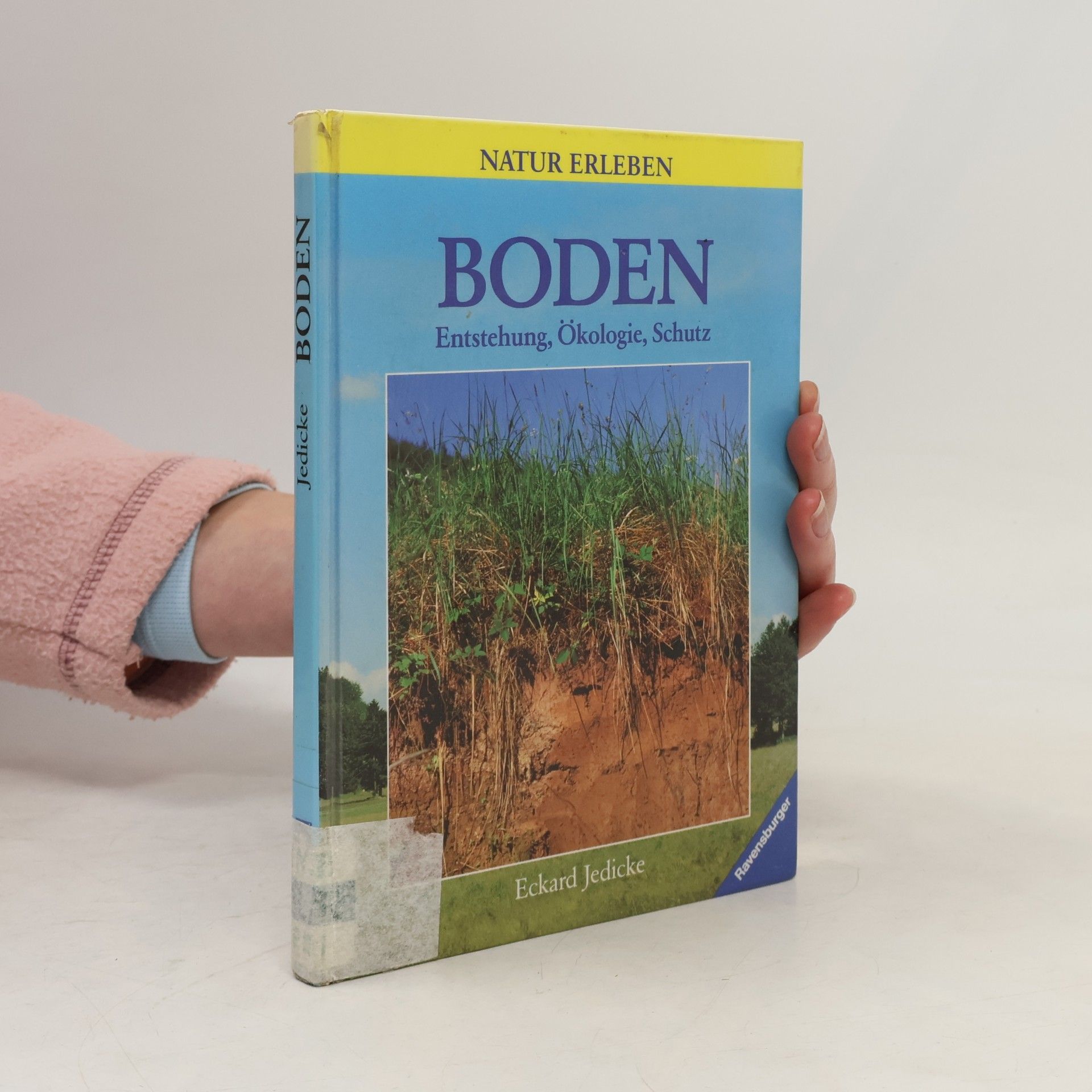 Eckhard Jedicke Boden