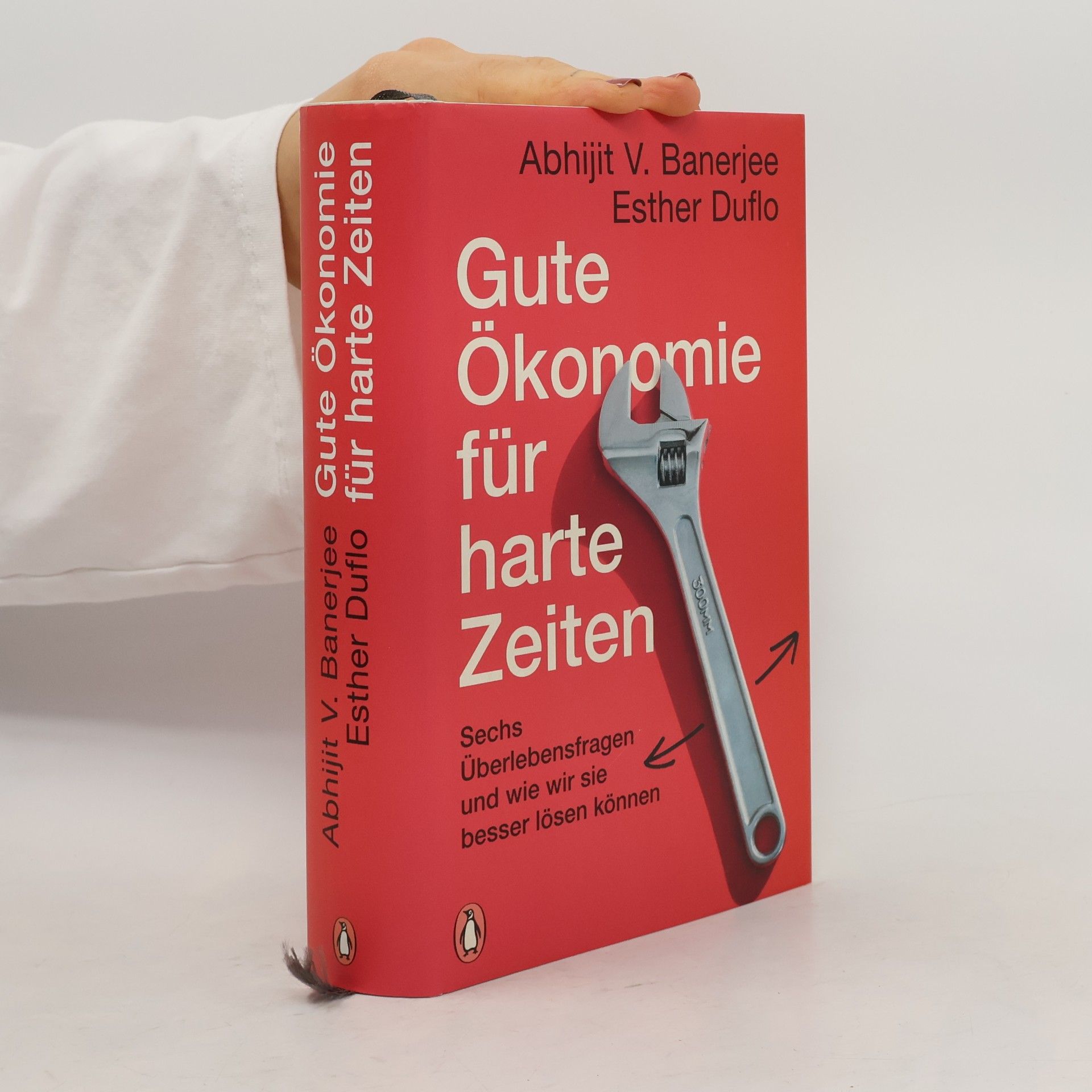 Abhijit Banerjee Gute Ökonomie für harte Zeiten