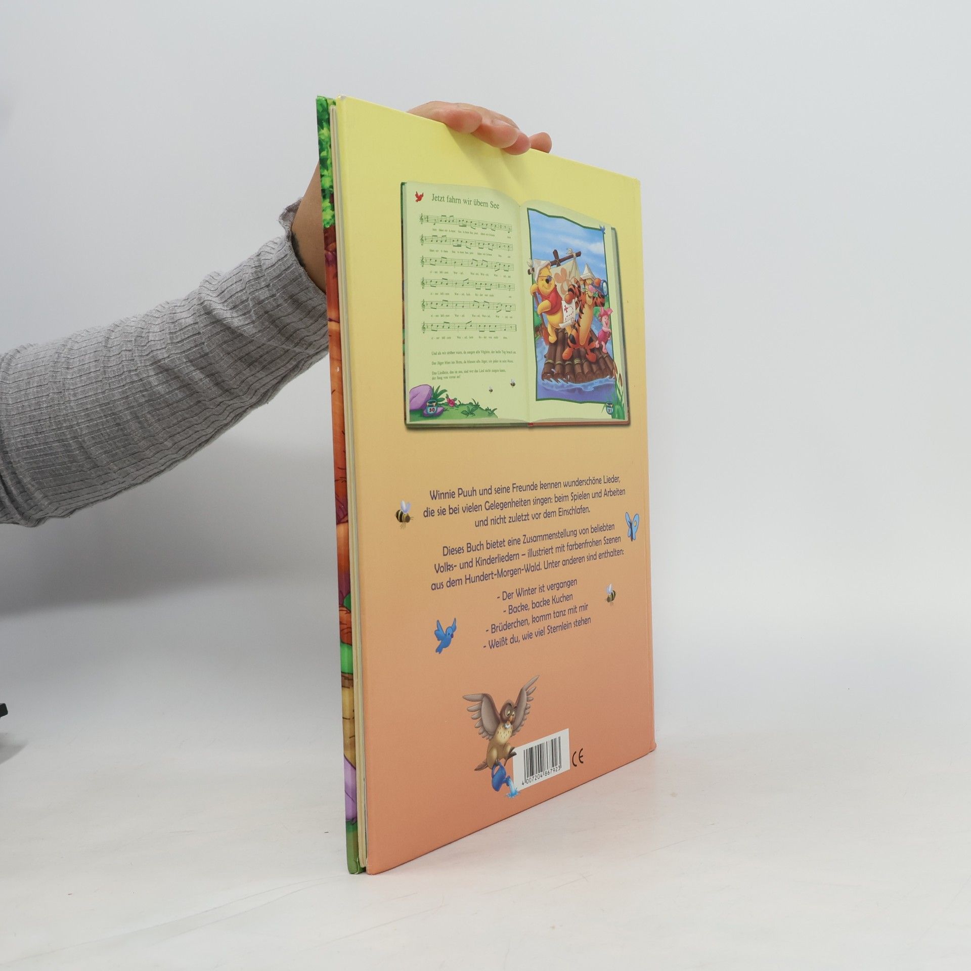 Autorenkollektiv Das große Liederbuch