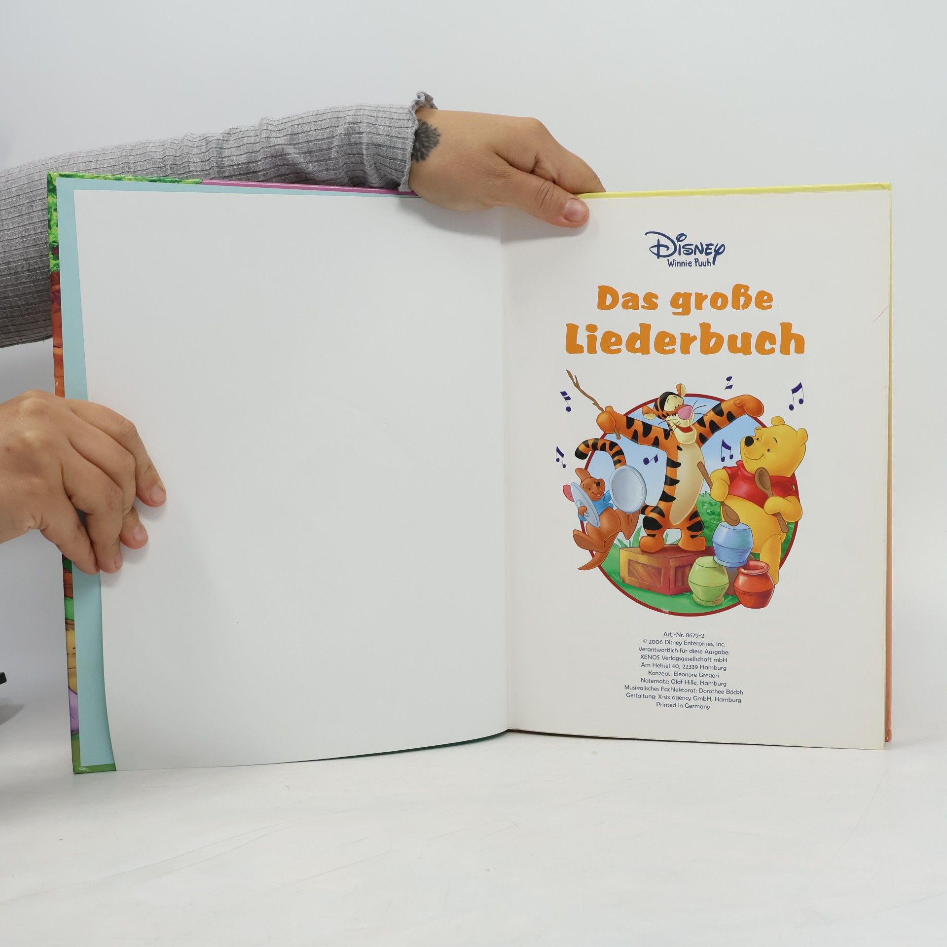 Autorenkollektiv Das große Liederbuch