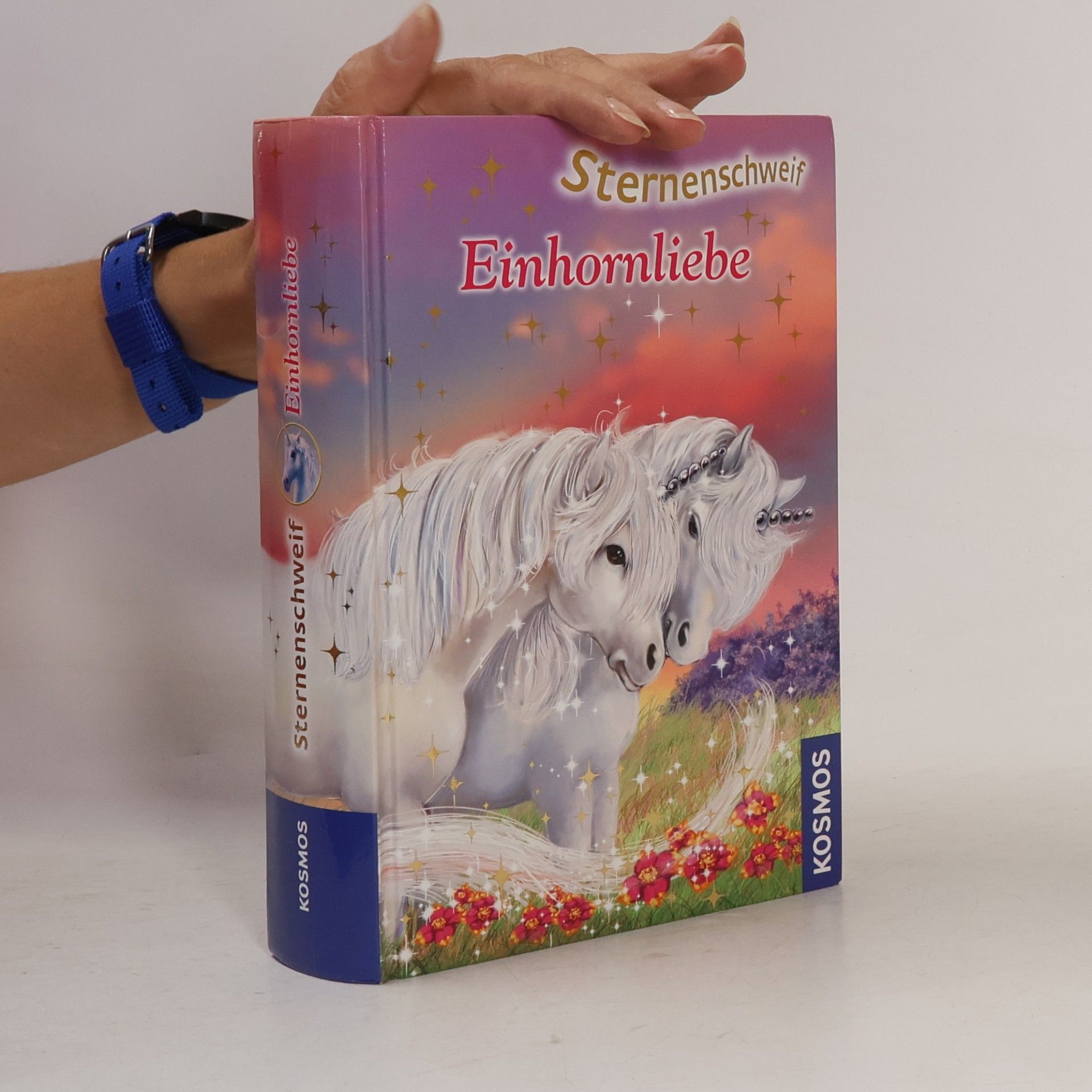 Linda Champan Sternenschweif - Einhornliebe