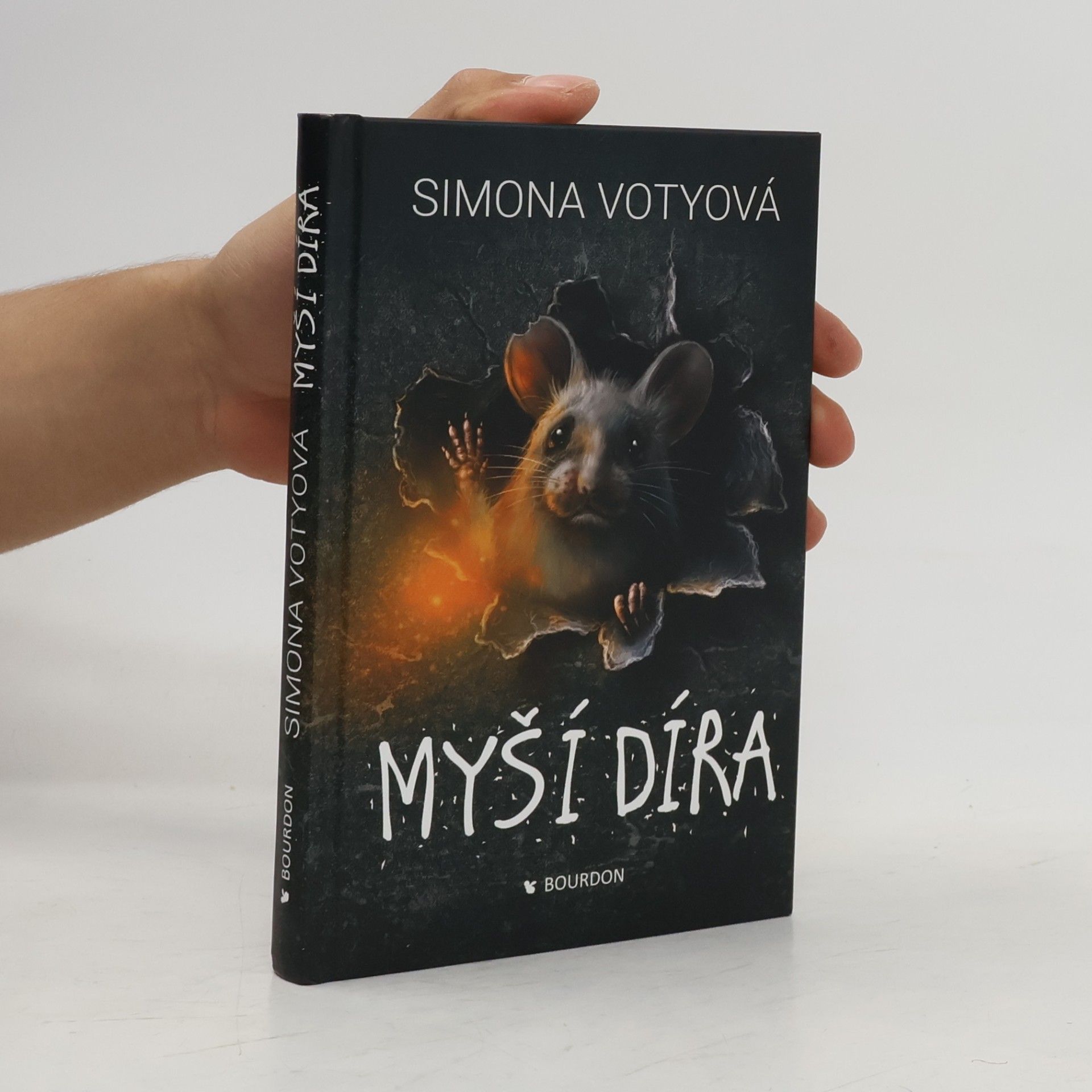 Myší díra