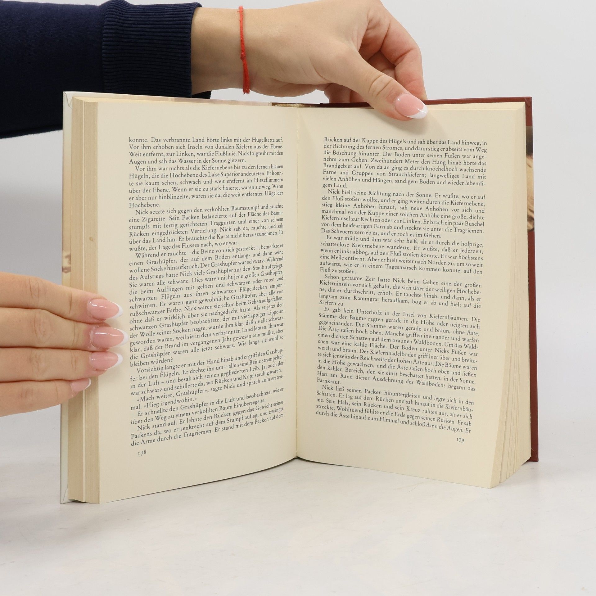 Ernest Hemingway Die Stories