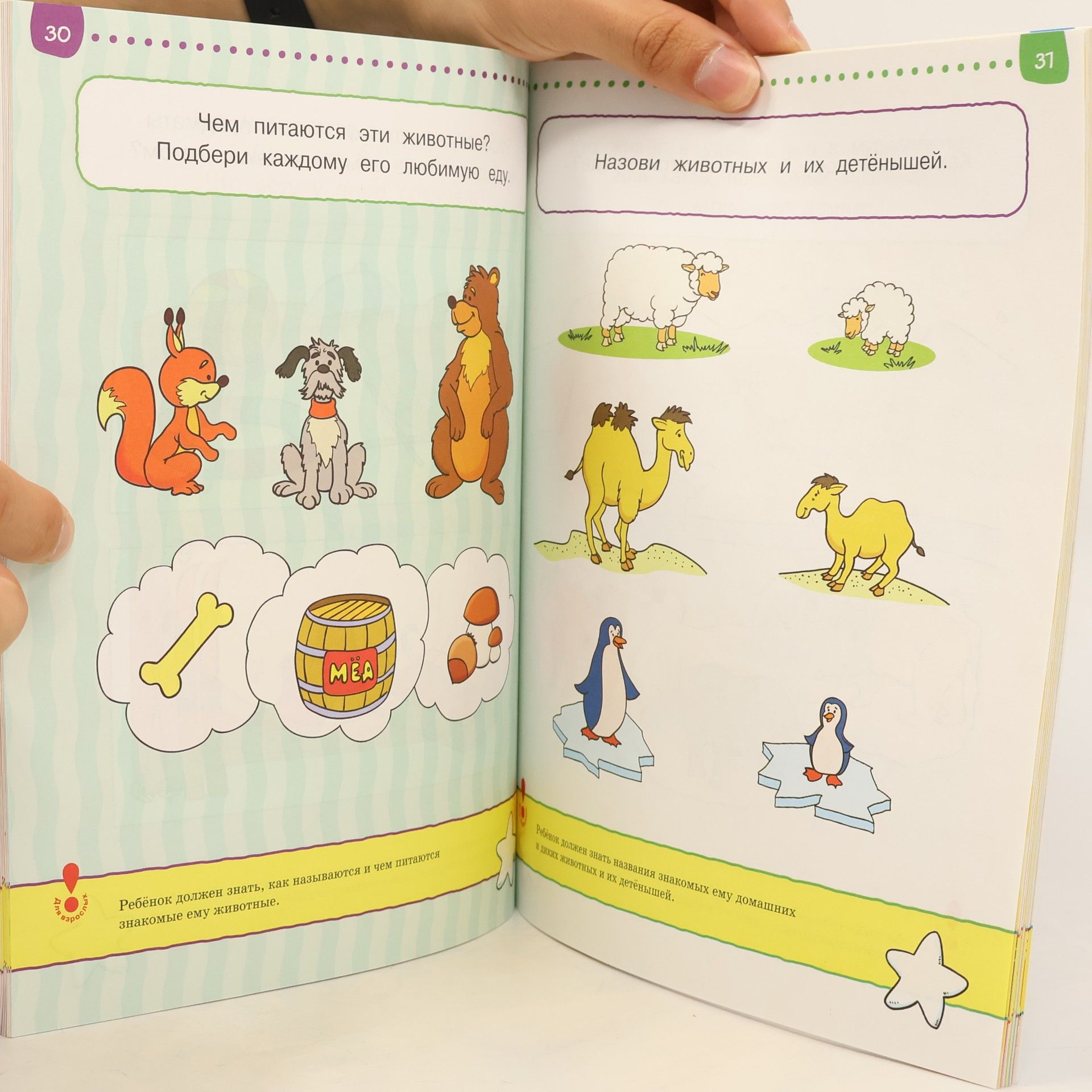 Olga Nikolaevna Zemtsova Тесты. От простого к сложному. Для детей 3-4 лет