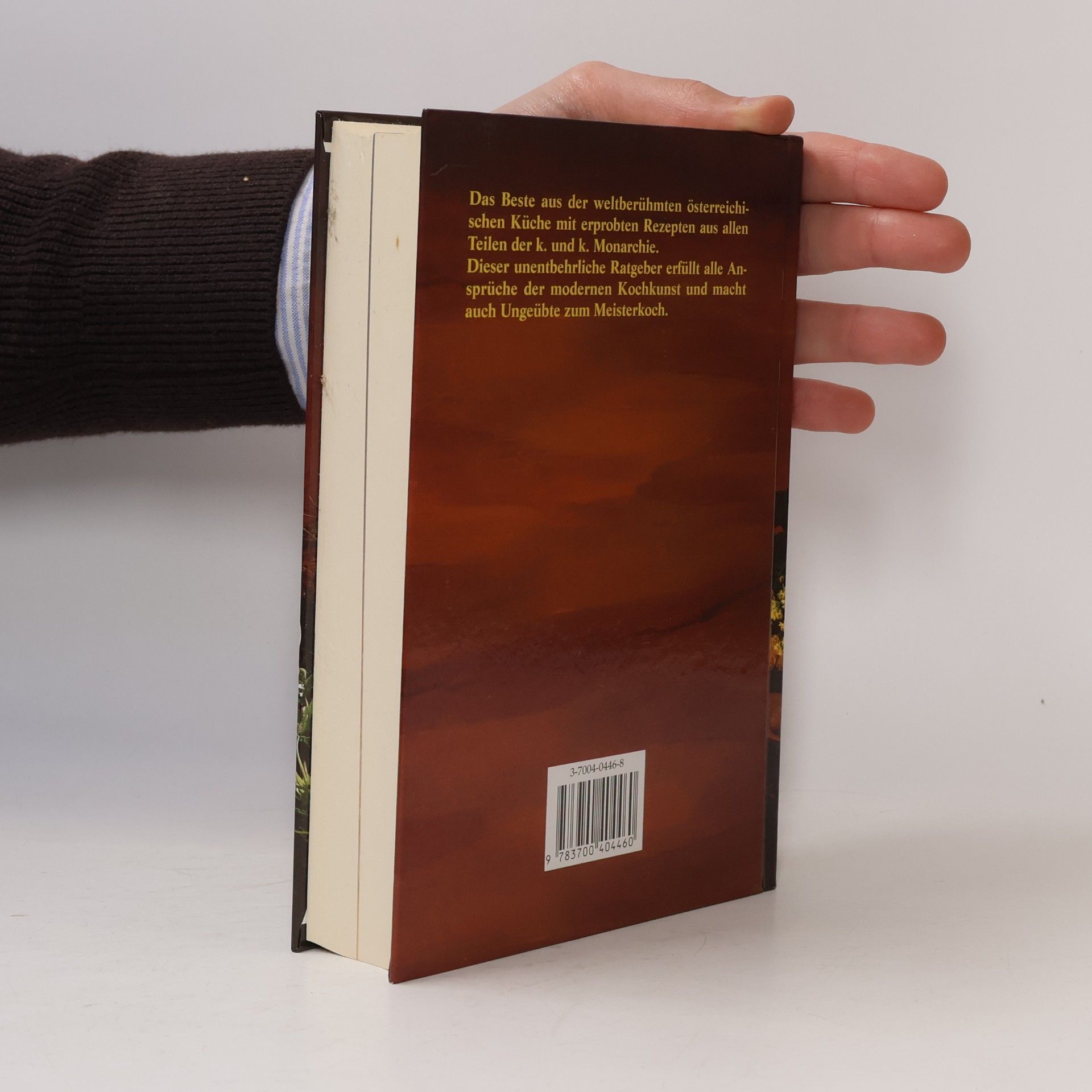 Erich M. István Die Österreichische Küche (nach Rokitansky)