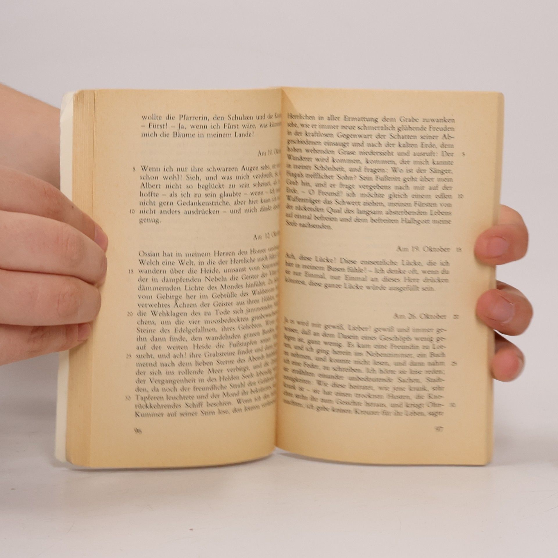 Johann Wolfgang Goethe Die Leiden des jungen Werthers