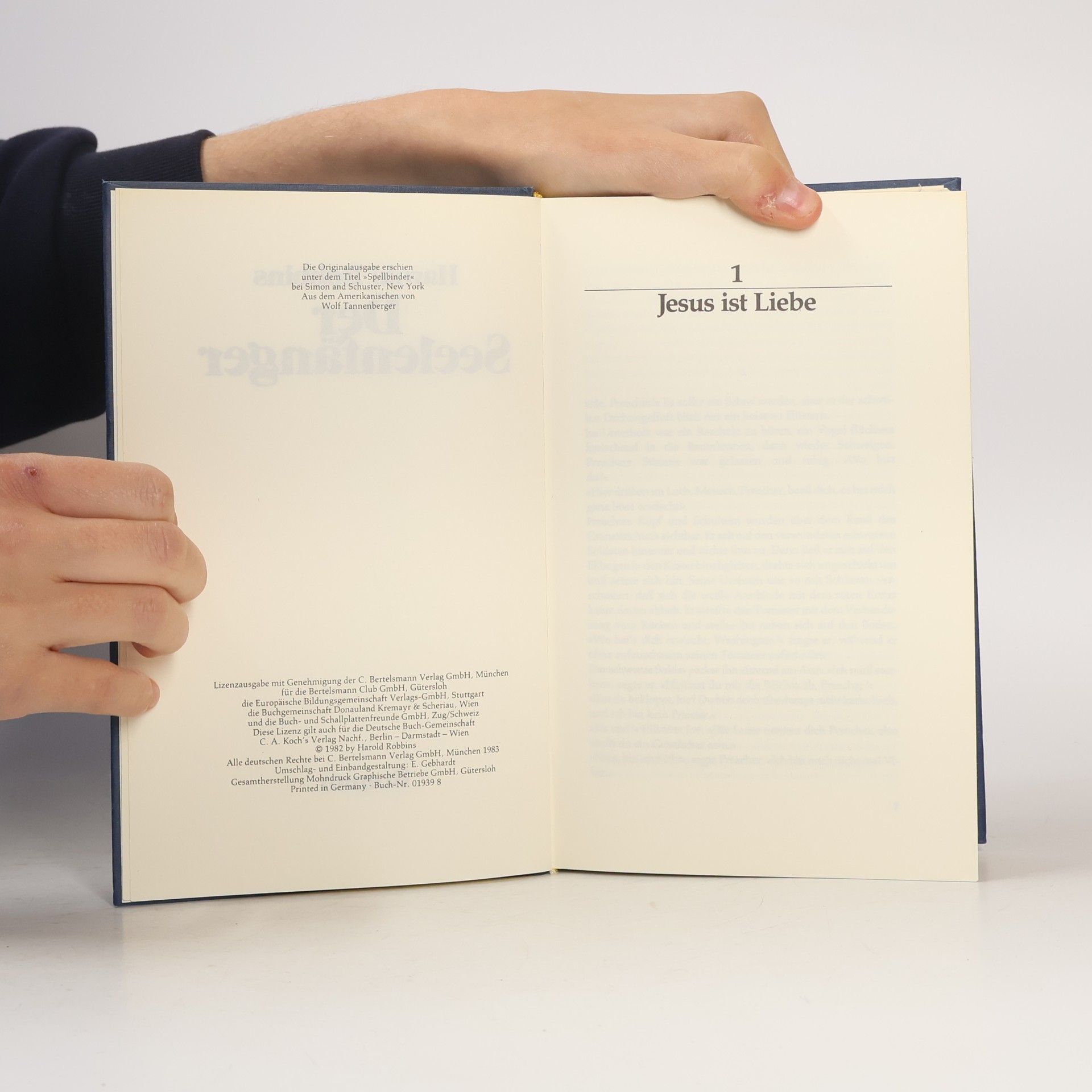 Harold Robbins Der Seelenfänger