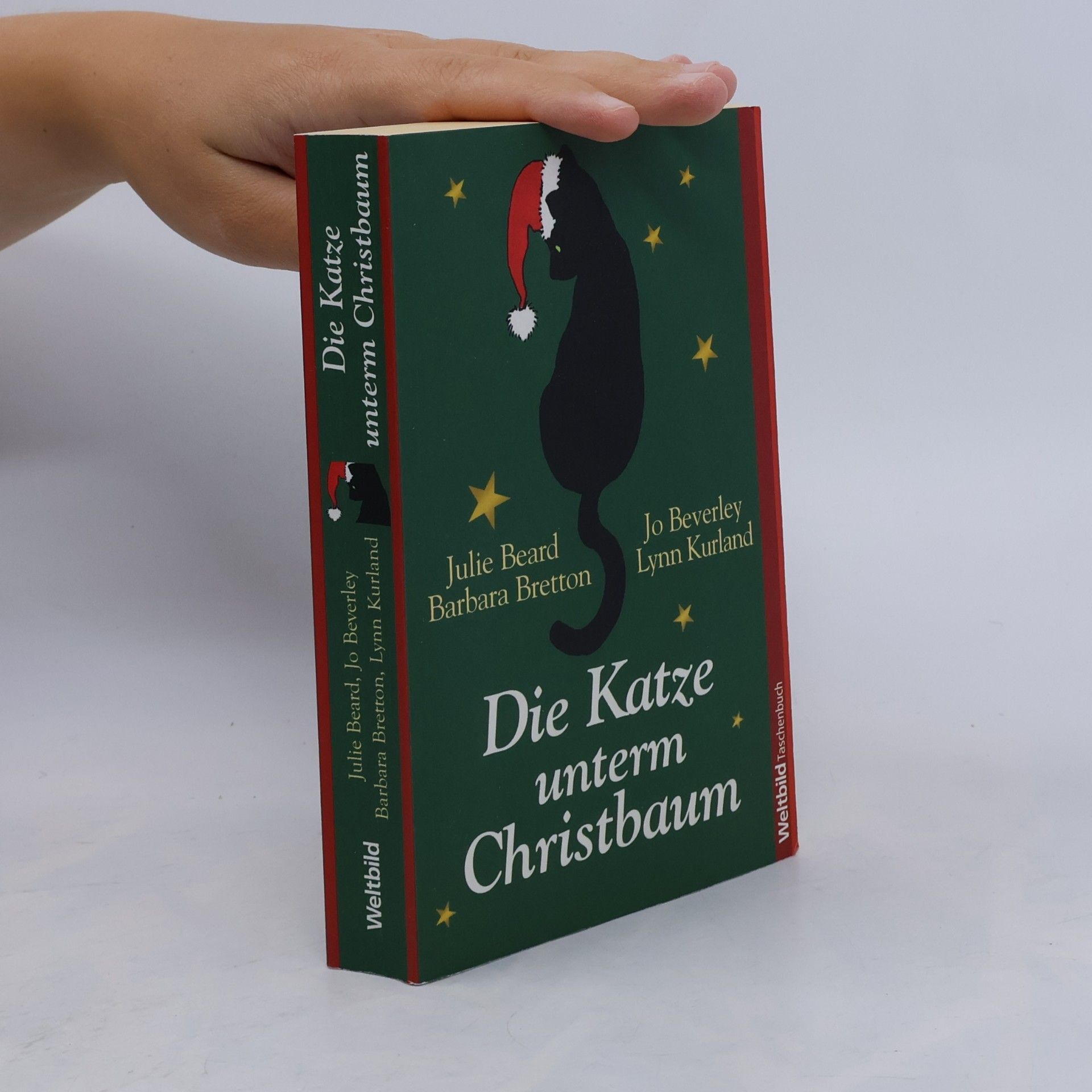 Julie Beard Die Katze unterm Christbaum