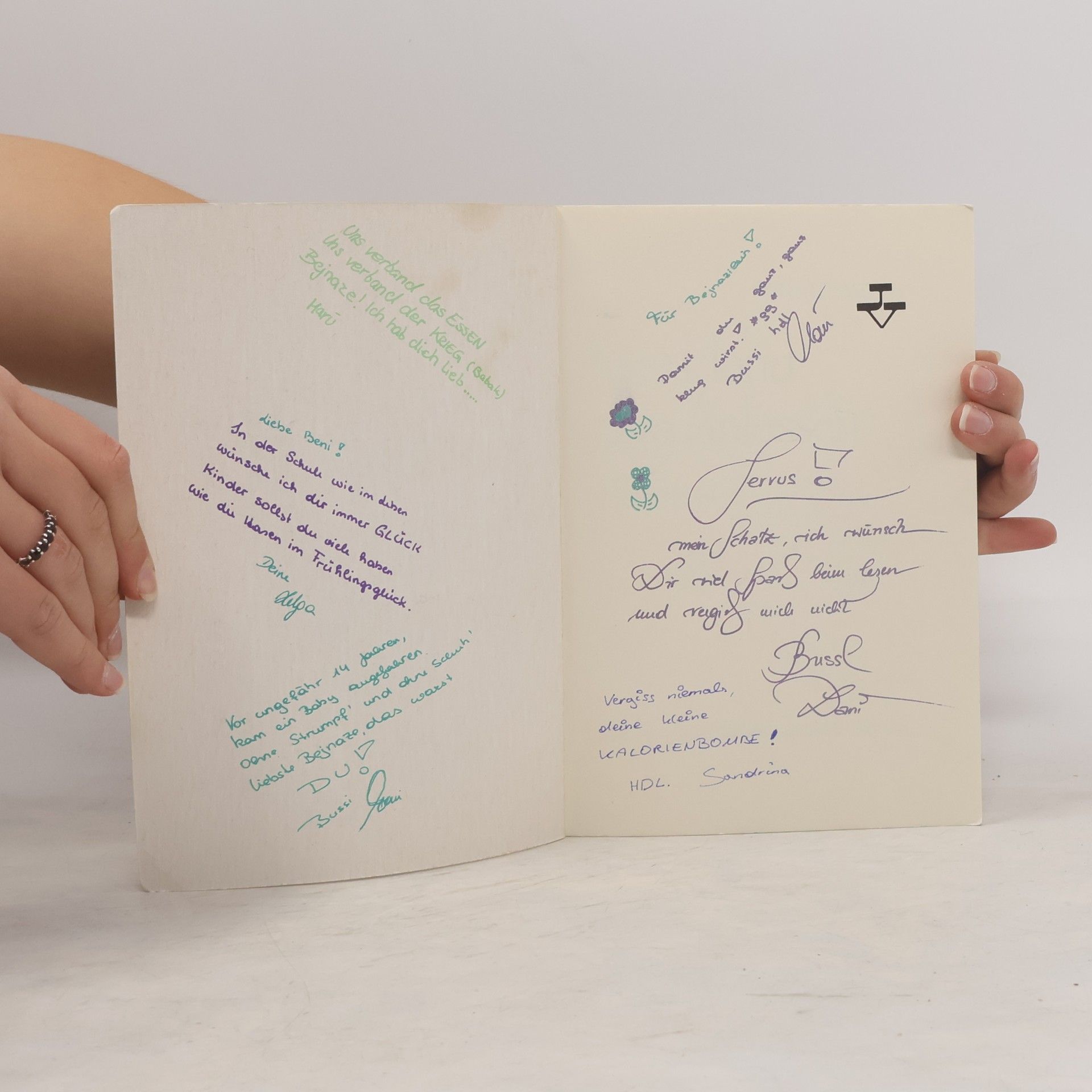 Renate Welsch Eine Hand zum Anfassen