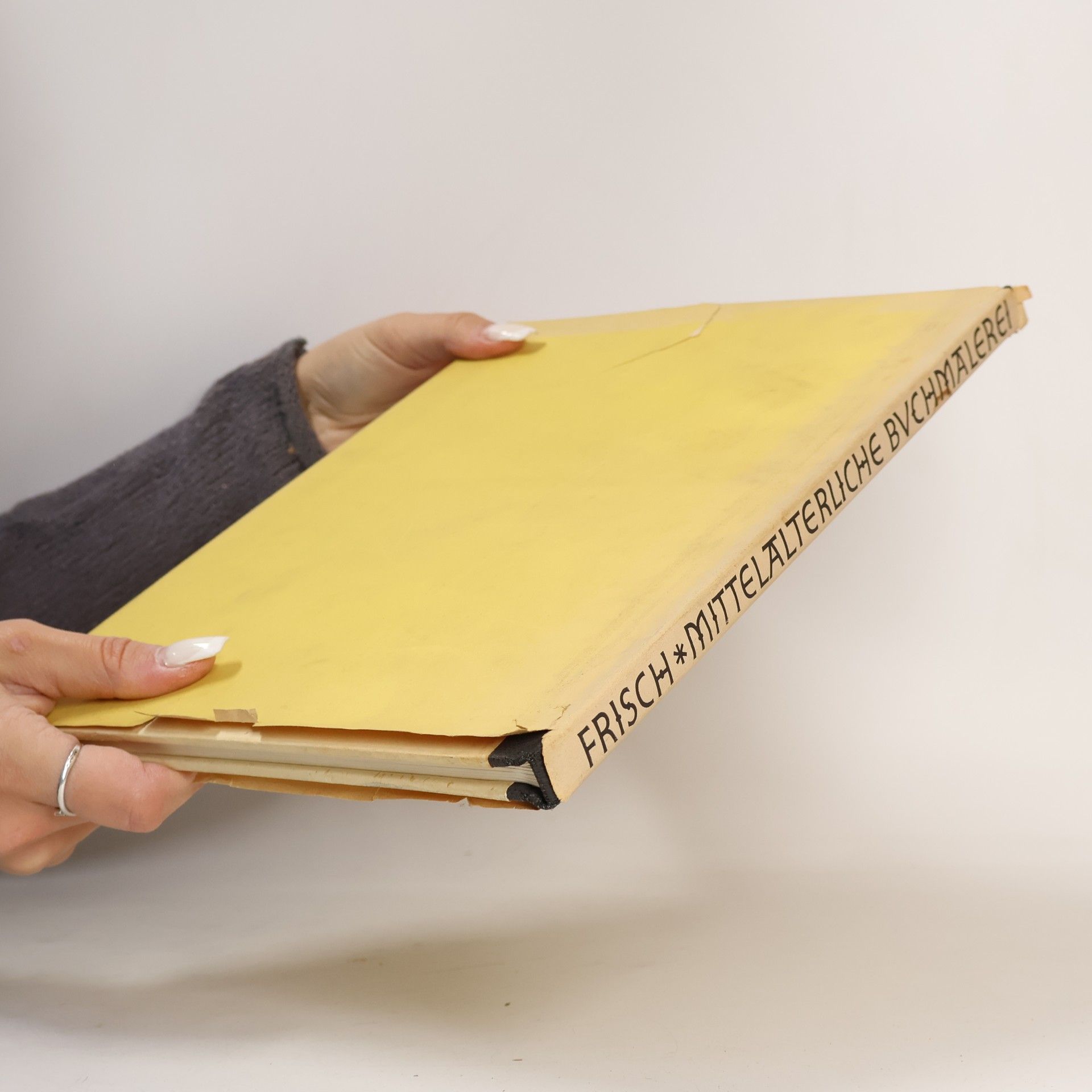 Ernst von Frisch Mittelalterliche buchmalerei