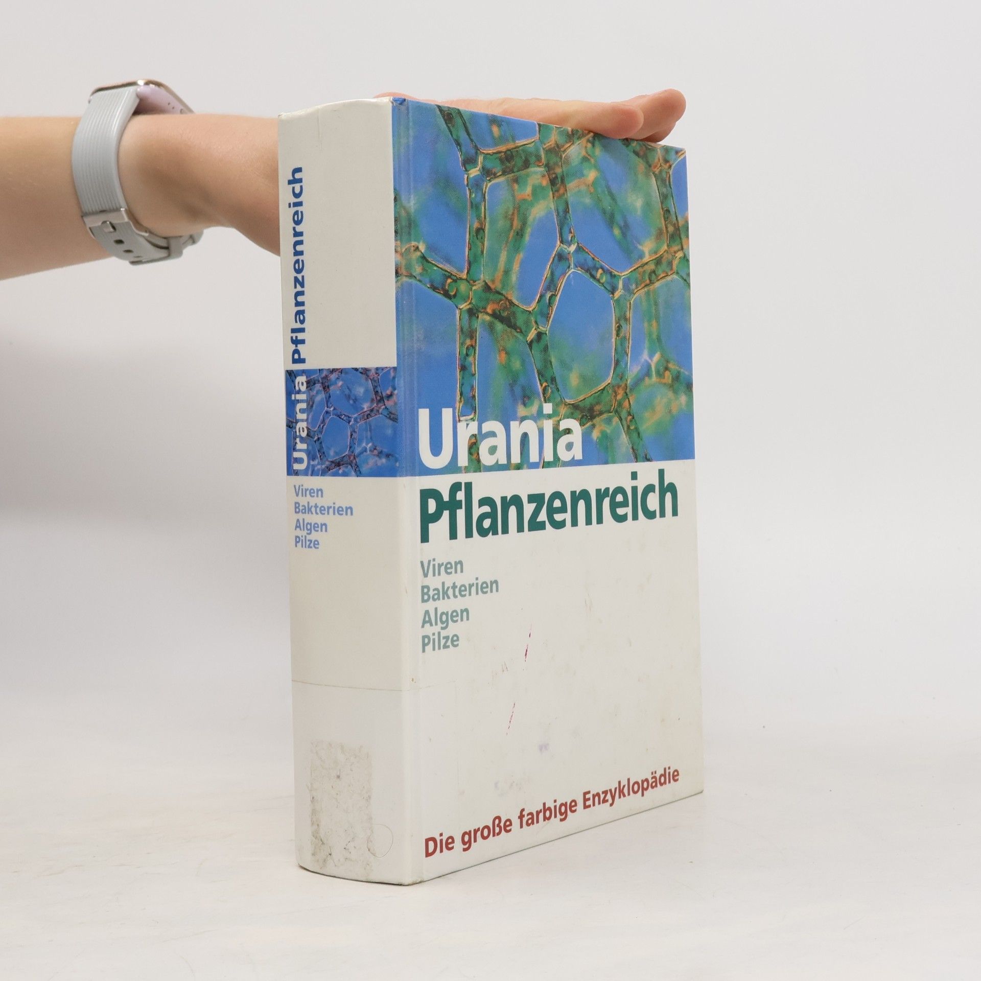 Autorenkollektiv Urania Pflanzenreich: Höhere Pflanzen 1