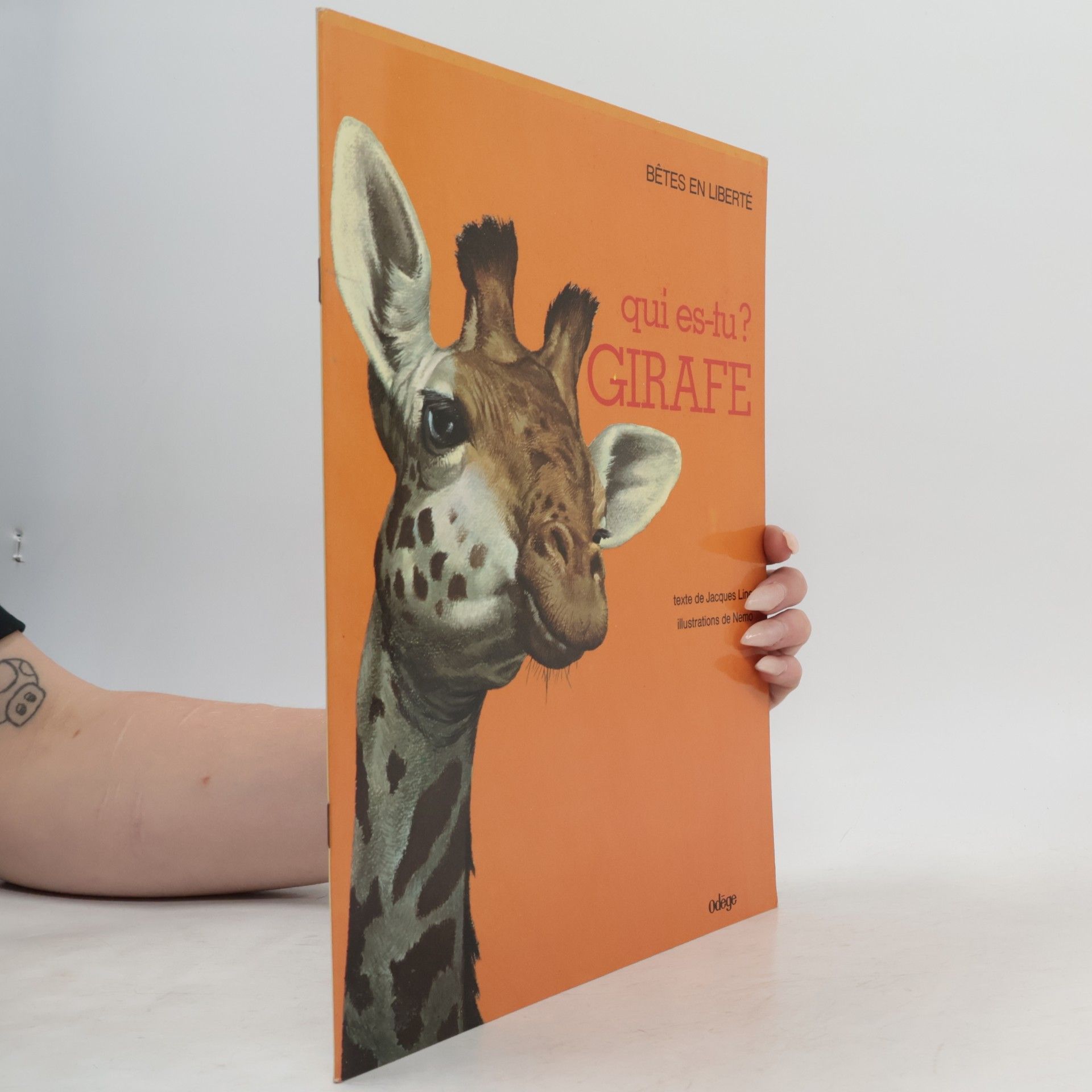 Qui es-tu? GIRAFE