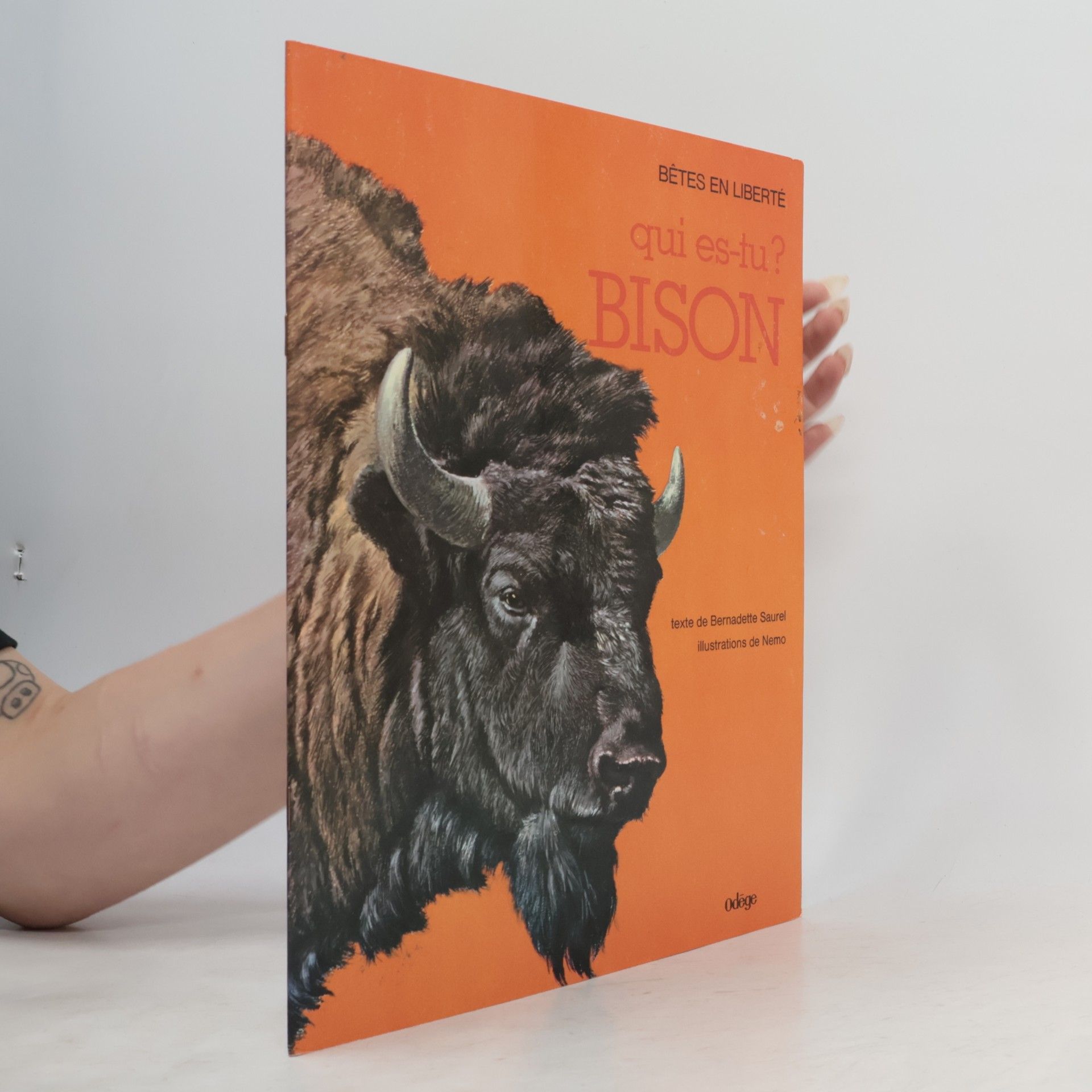 Qui es-tu? BISON