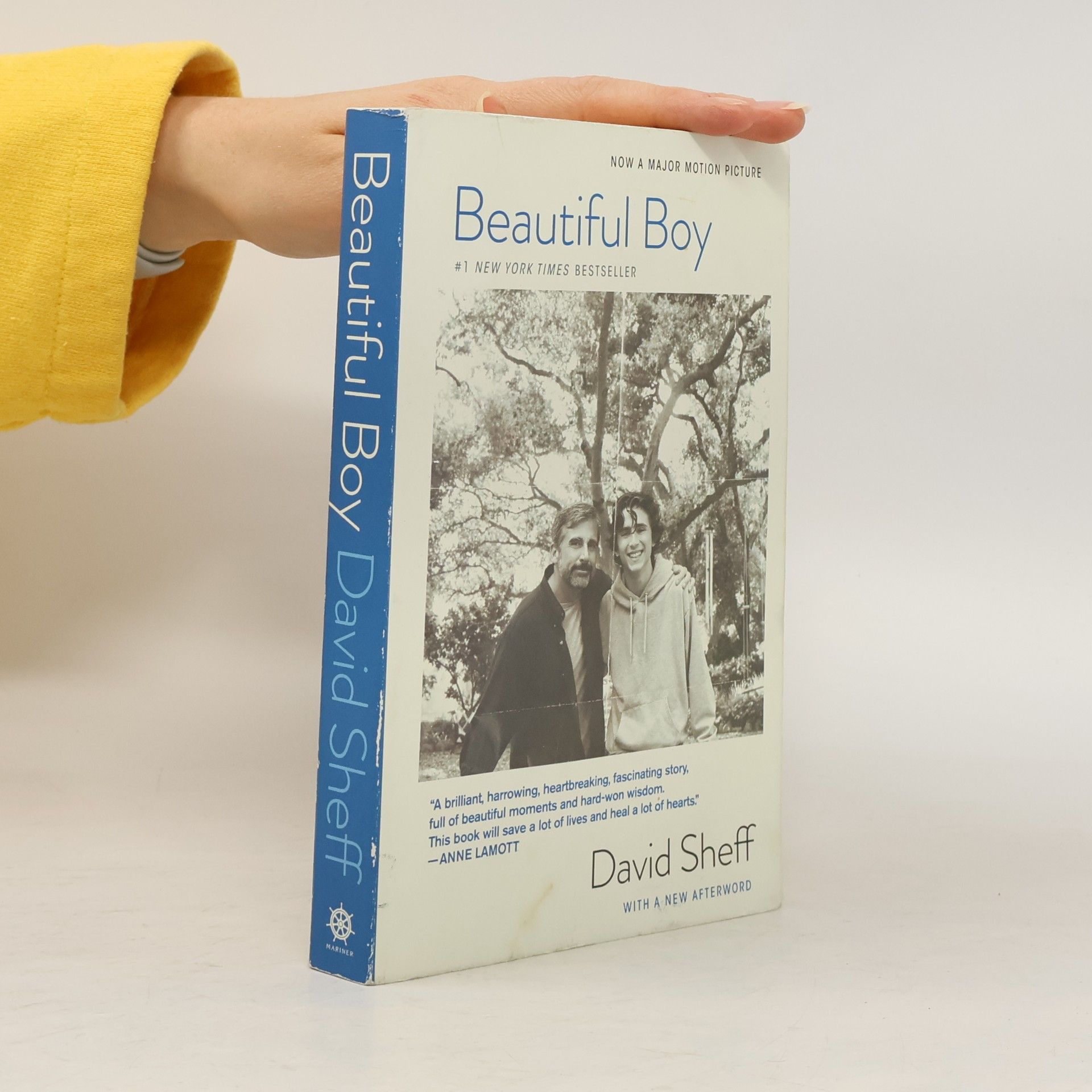 David Sheff Beautiful Boy (Tie-In)