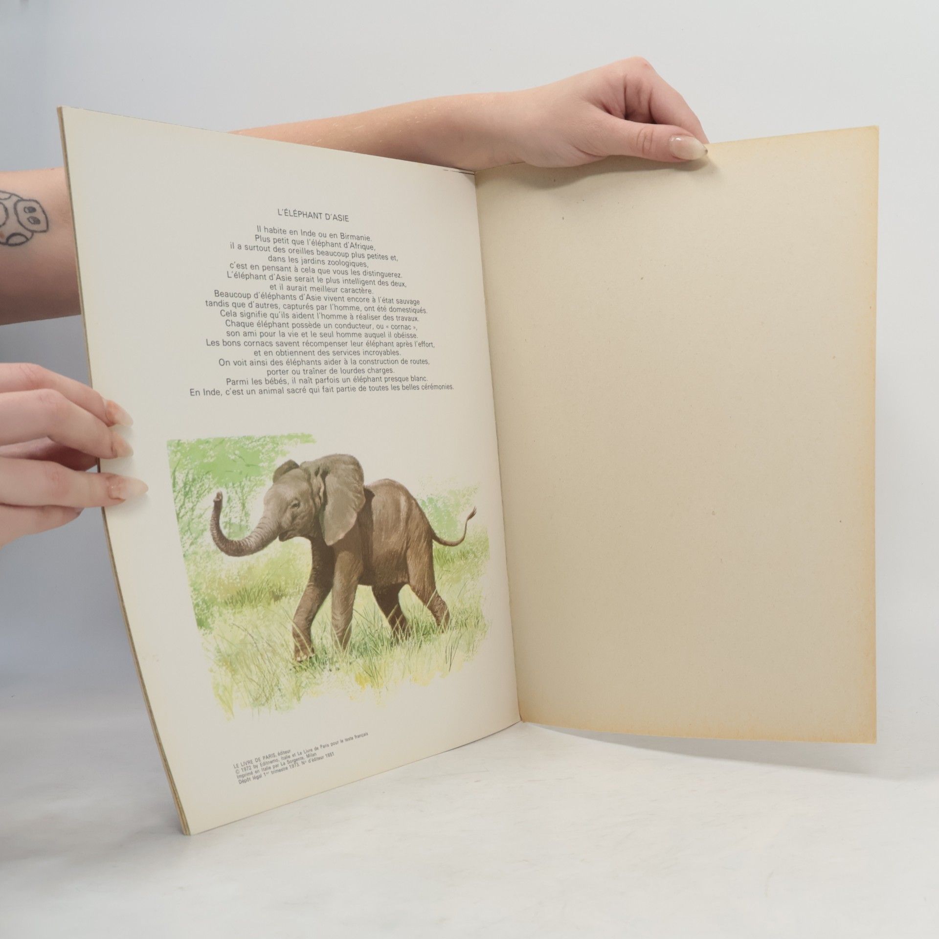 Michele Kahn Qui es-tu? ELEPHANT