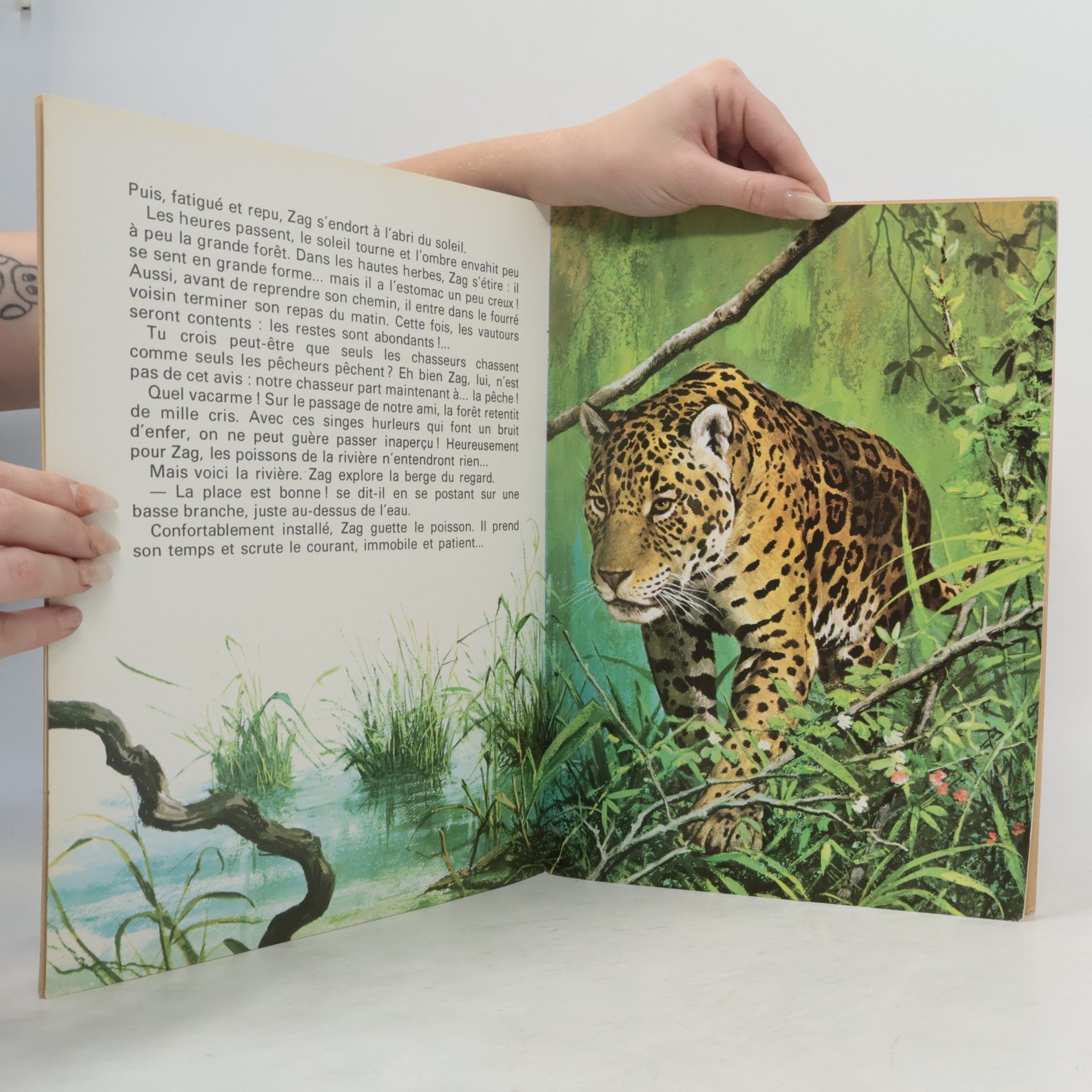 Martine Taugeron Qui es-tu? JAGUAR