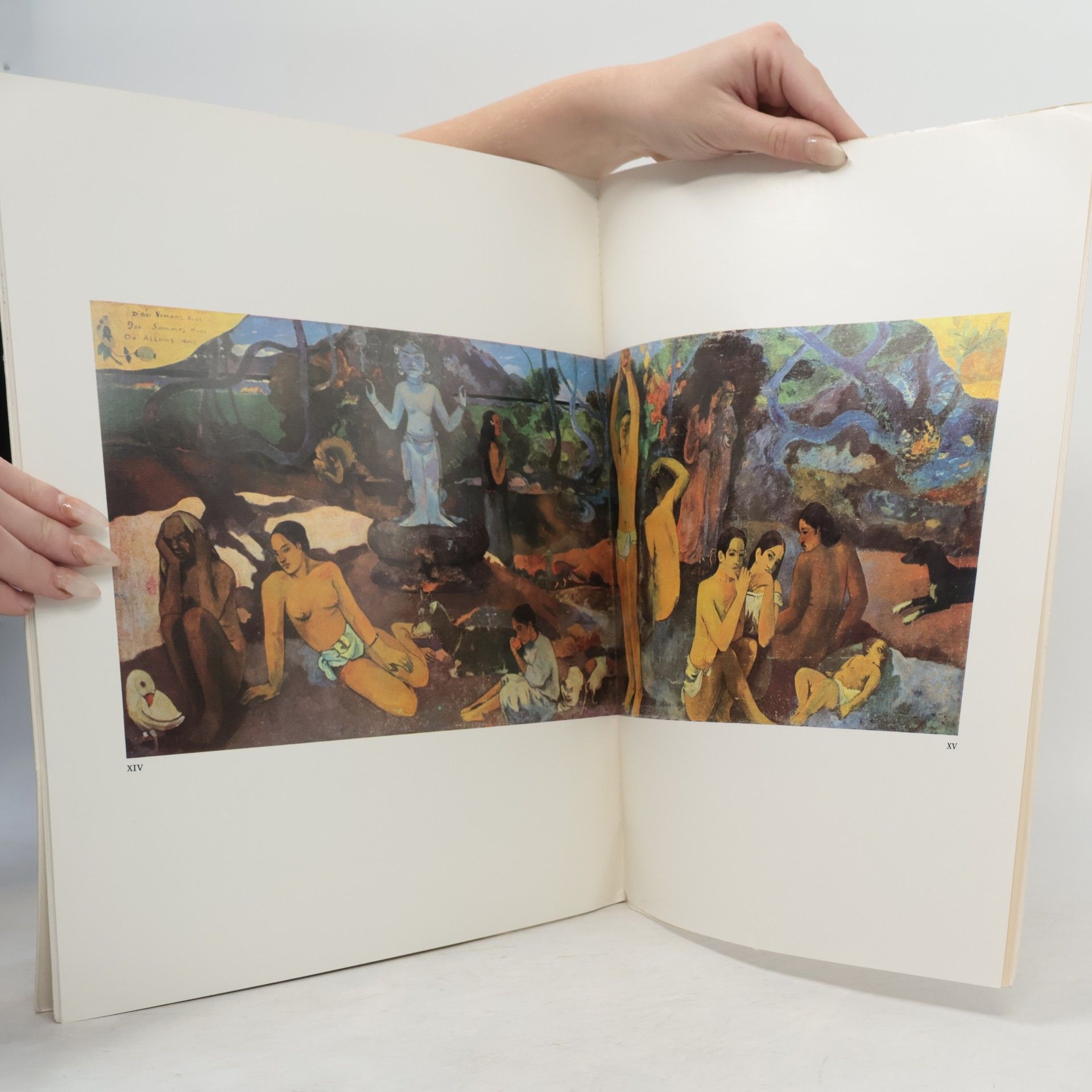 Kolektiv autorů Grands peintres. Gauguin
