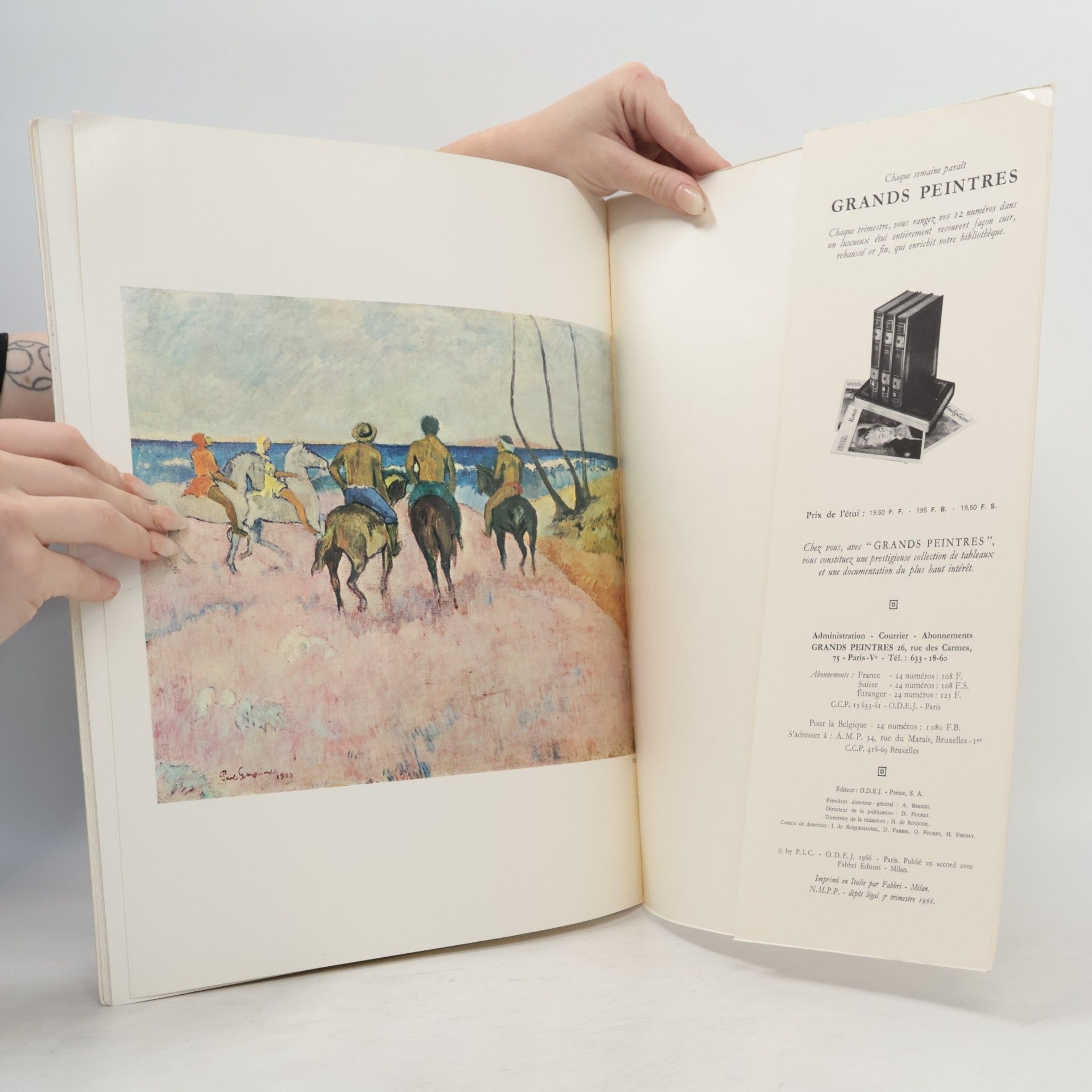 Kolektiv autorů Grands peintres. Gauguin