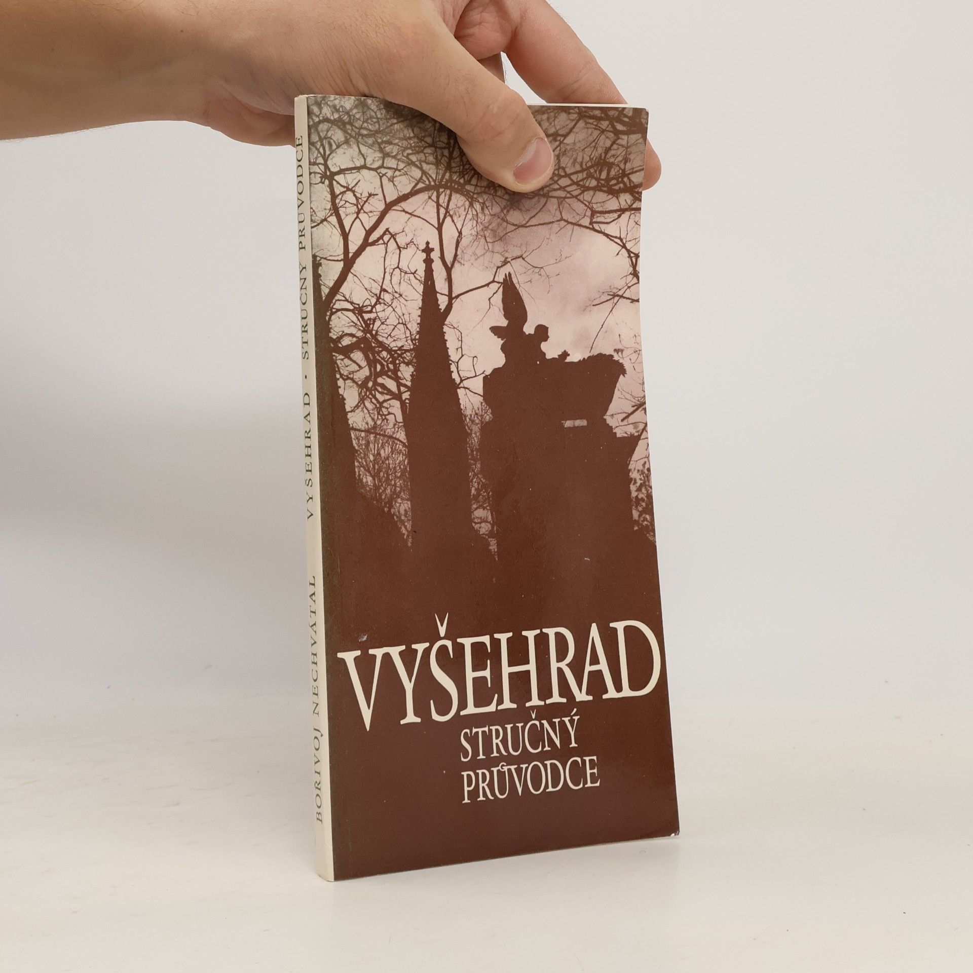 Bořivoj Nechvátal Vyšehrad. Stručný průvodce