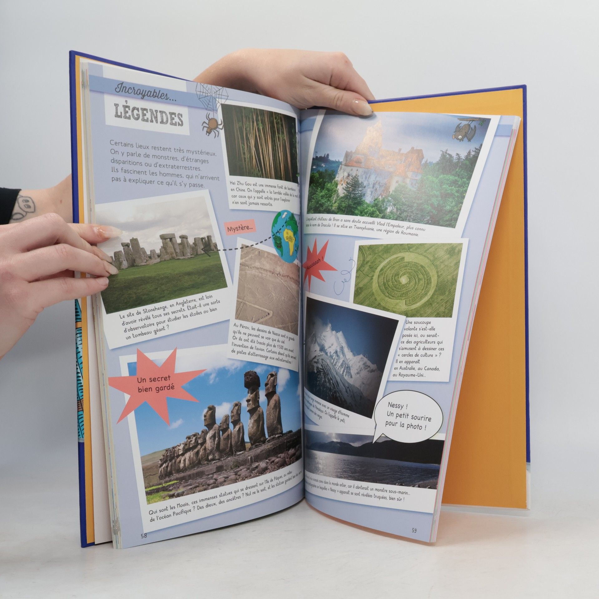 Laurent Audoin Le Larousse des records