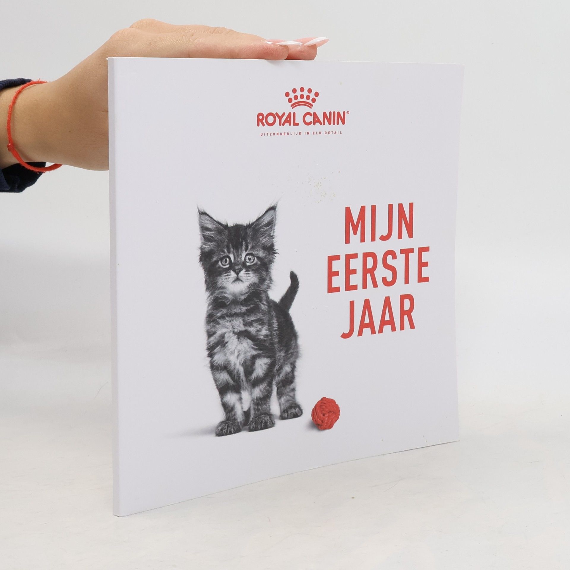 kolektiv Mijn eerste jaar