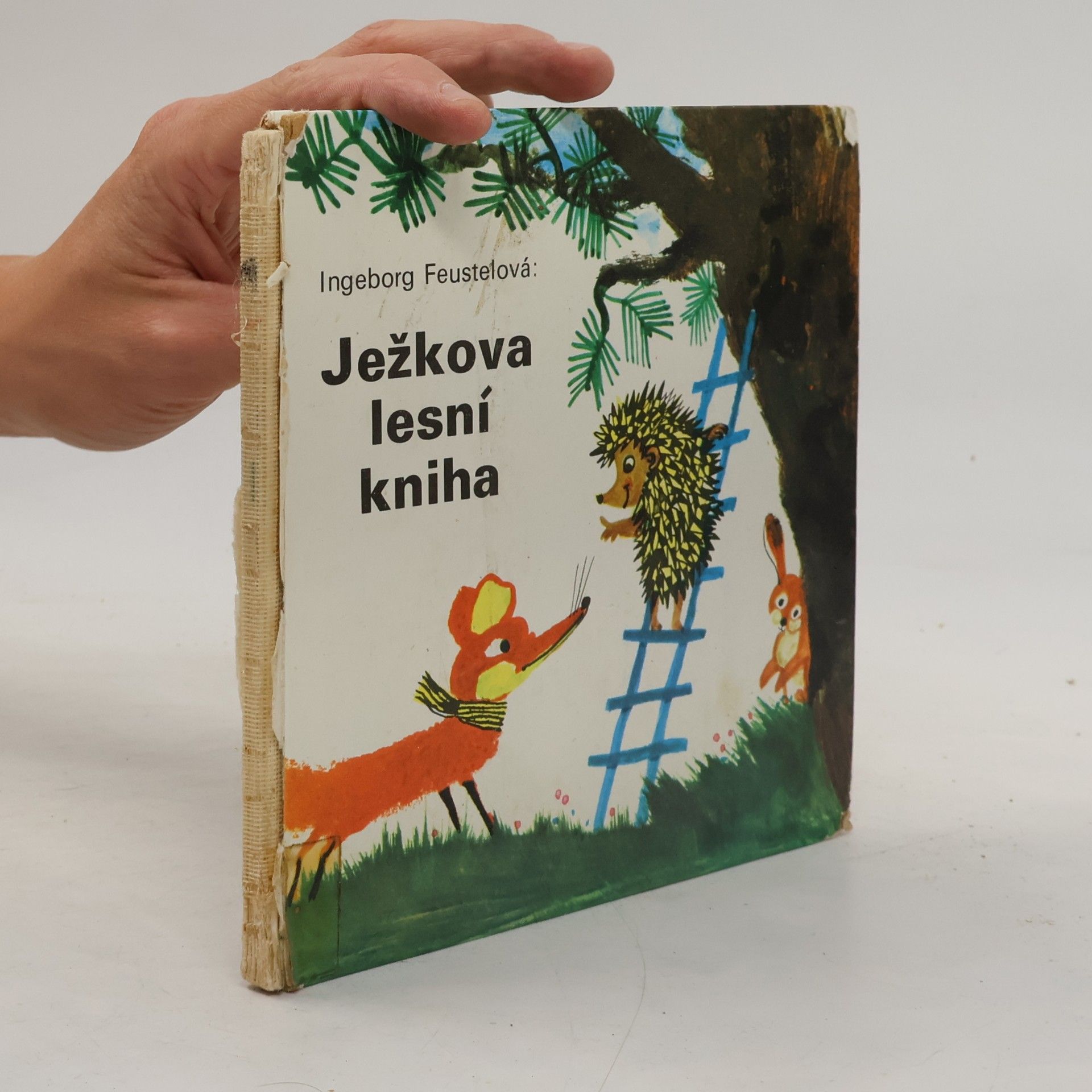 Ježkova lesní kniha