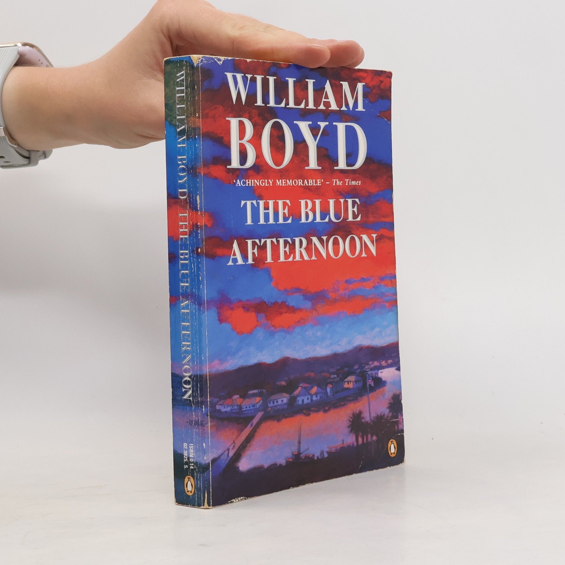 William Boyd The Blue Afternoon