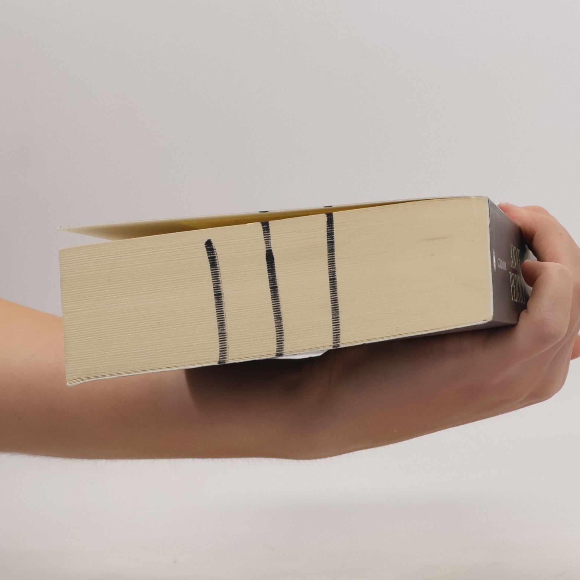 Anne Perry Einer trage des anderen Schuld