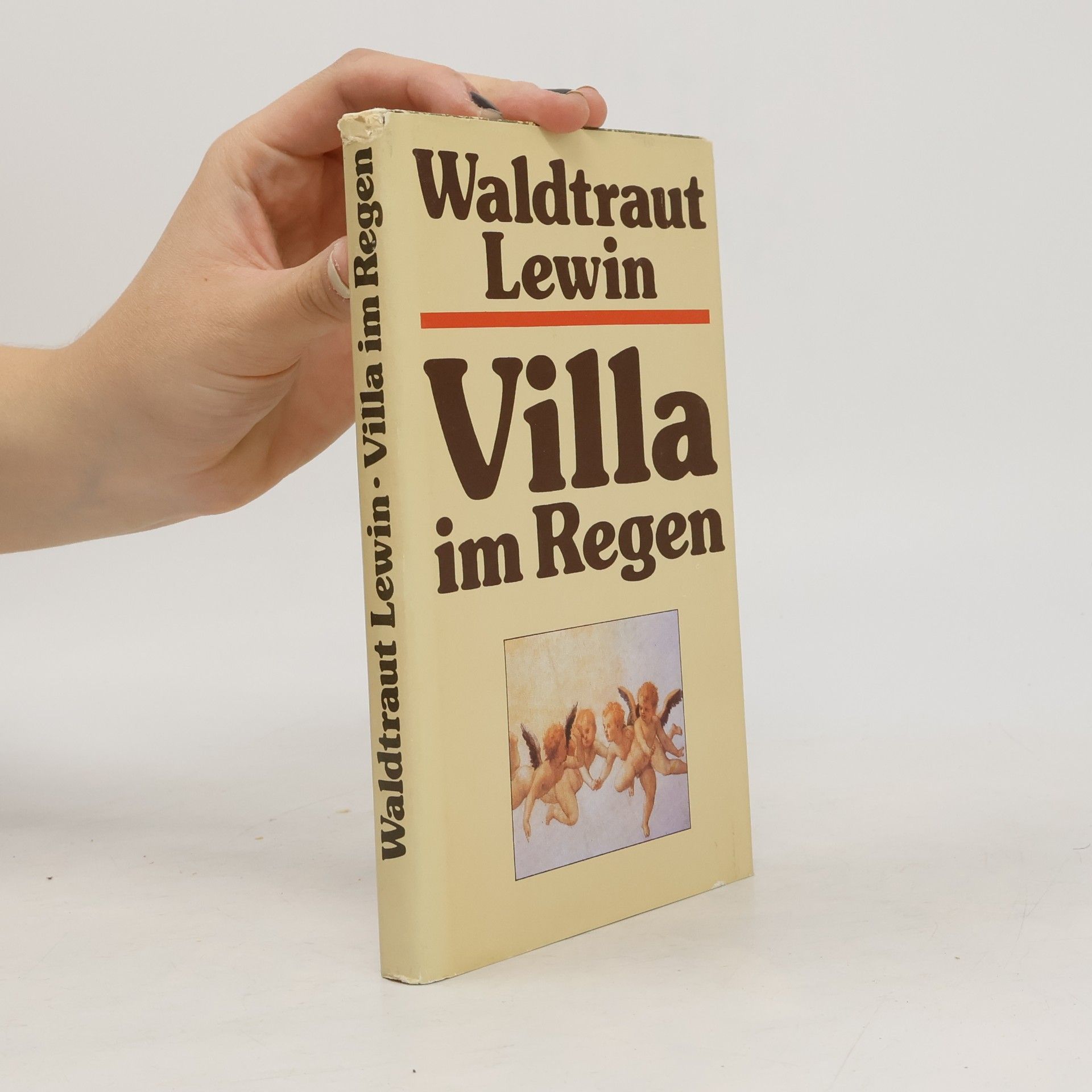 Waldtraut Lewin Villa im Regen