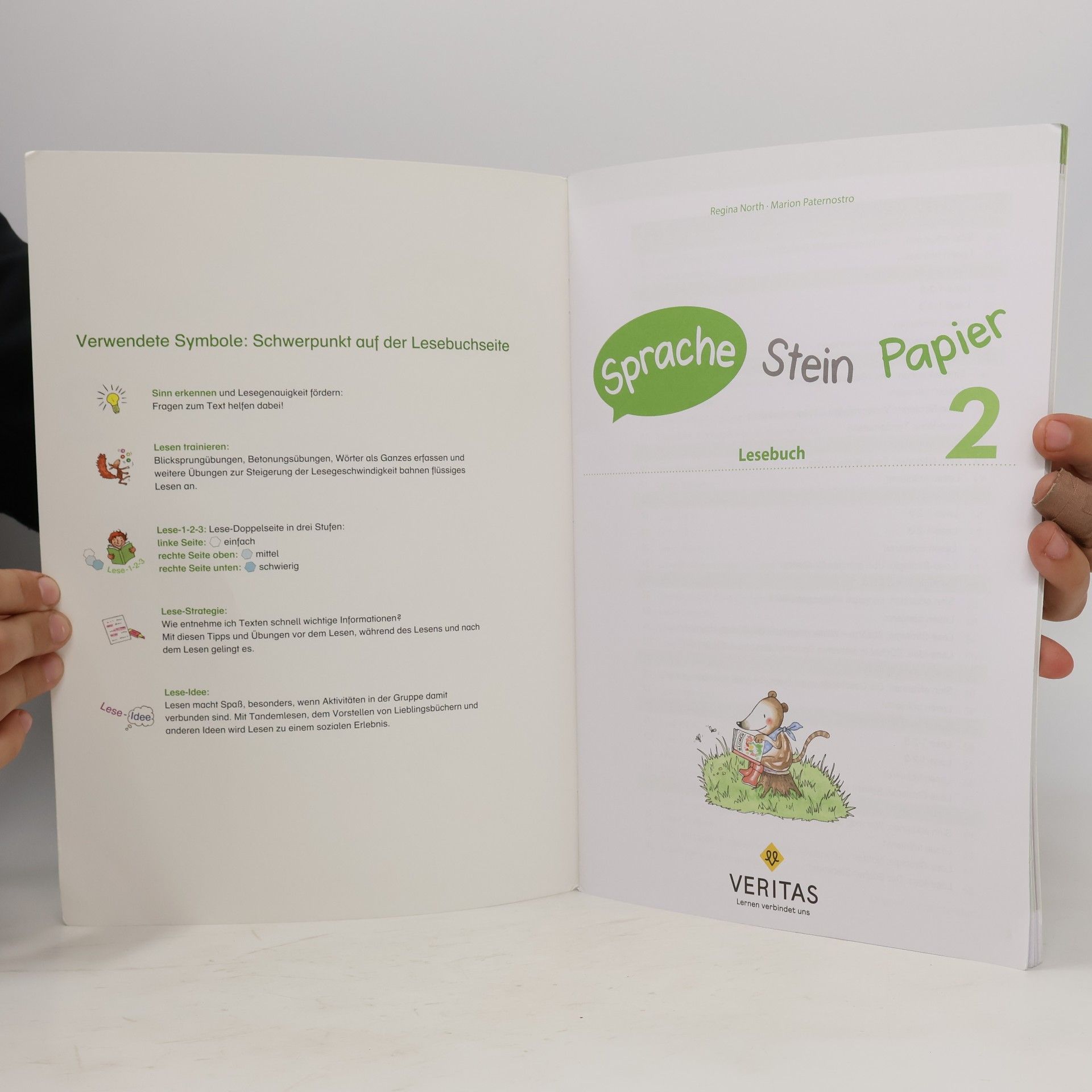 Regina North Sprache Stein Papier 2