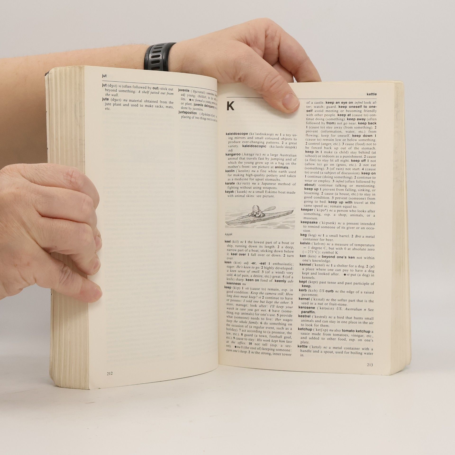 Martin Manser Macmillan student's dictionary