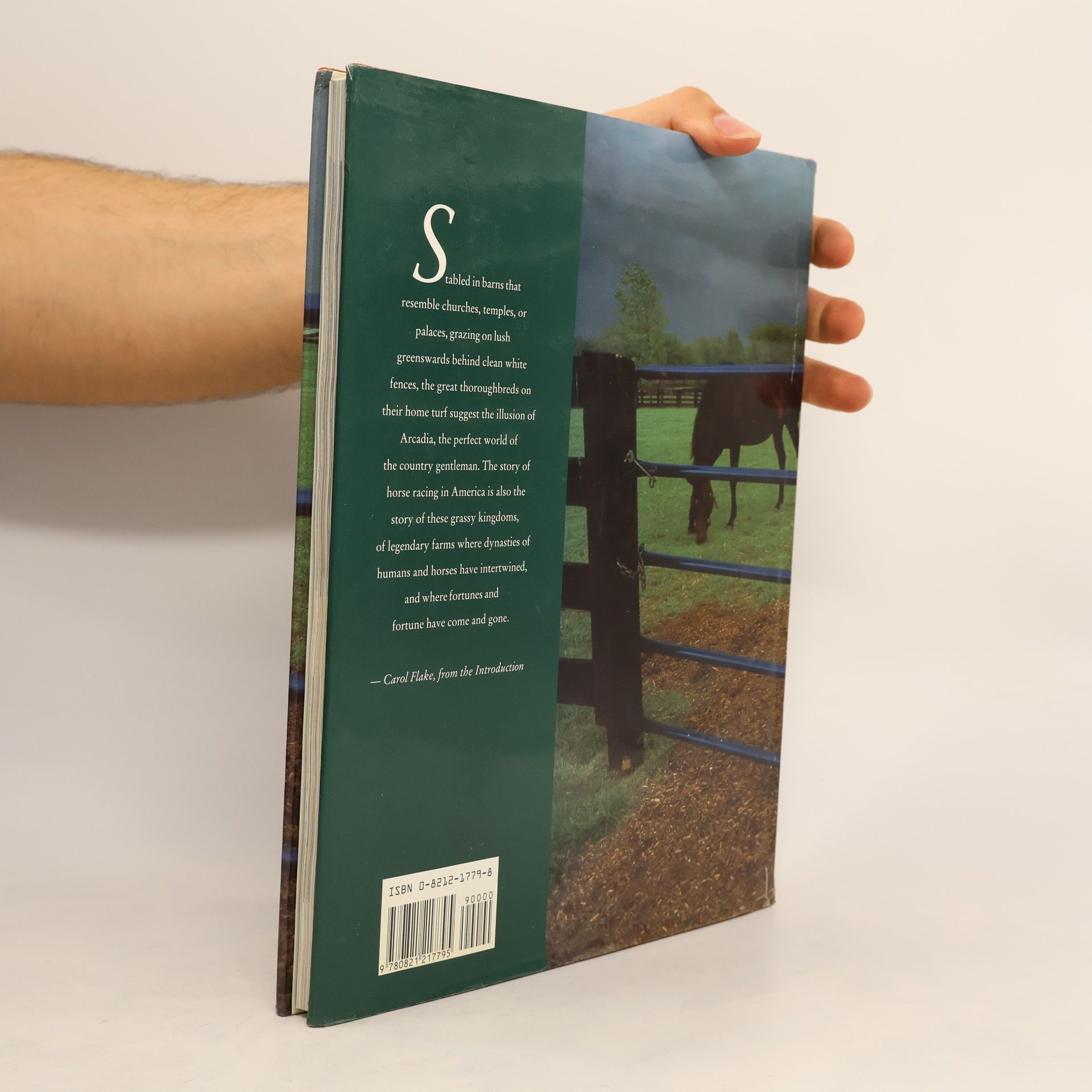 Henry Horenstein Thoroughbred Kingdoms