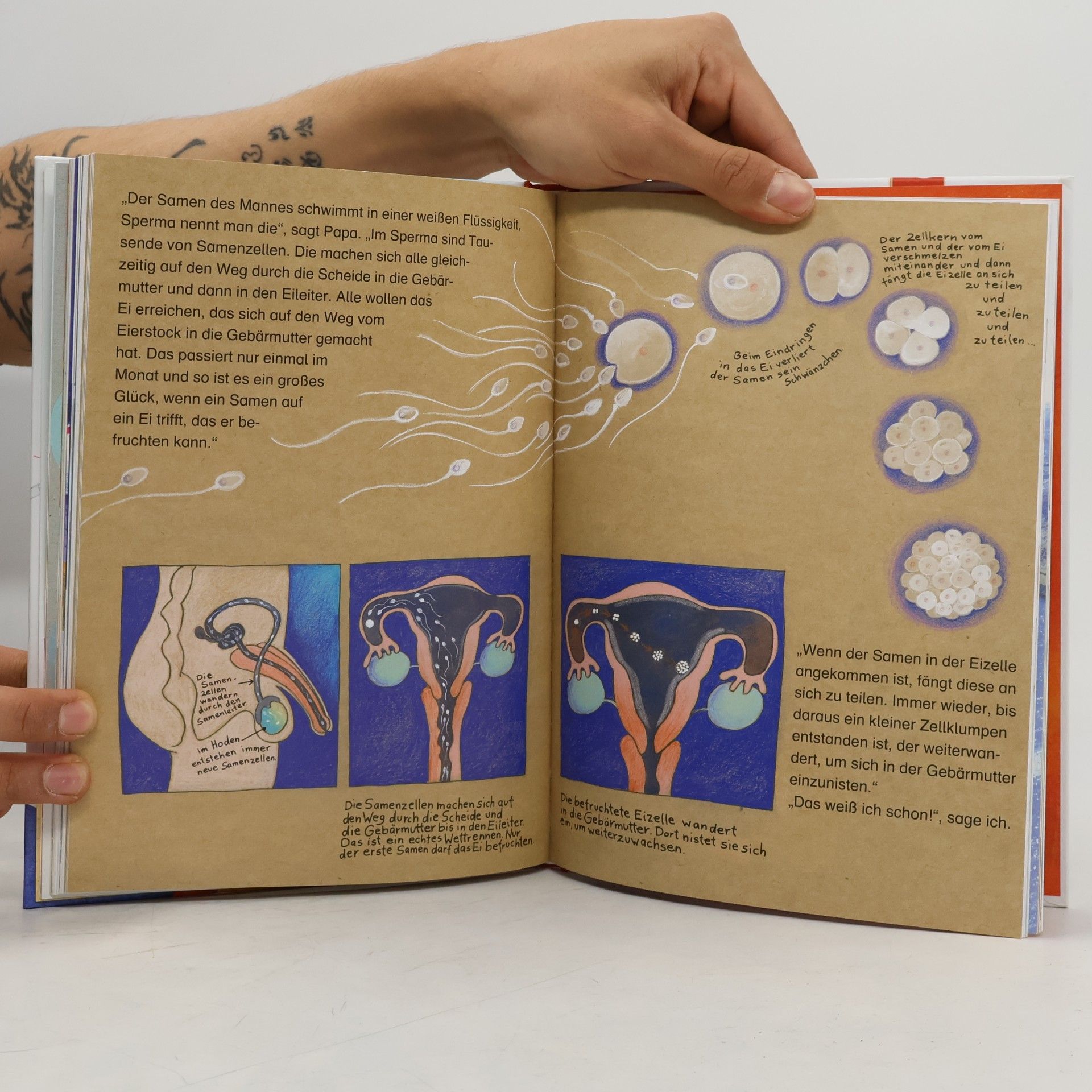 kolektiv Mein erstes Aufklärungsbuch