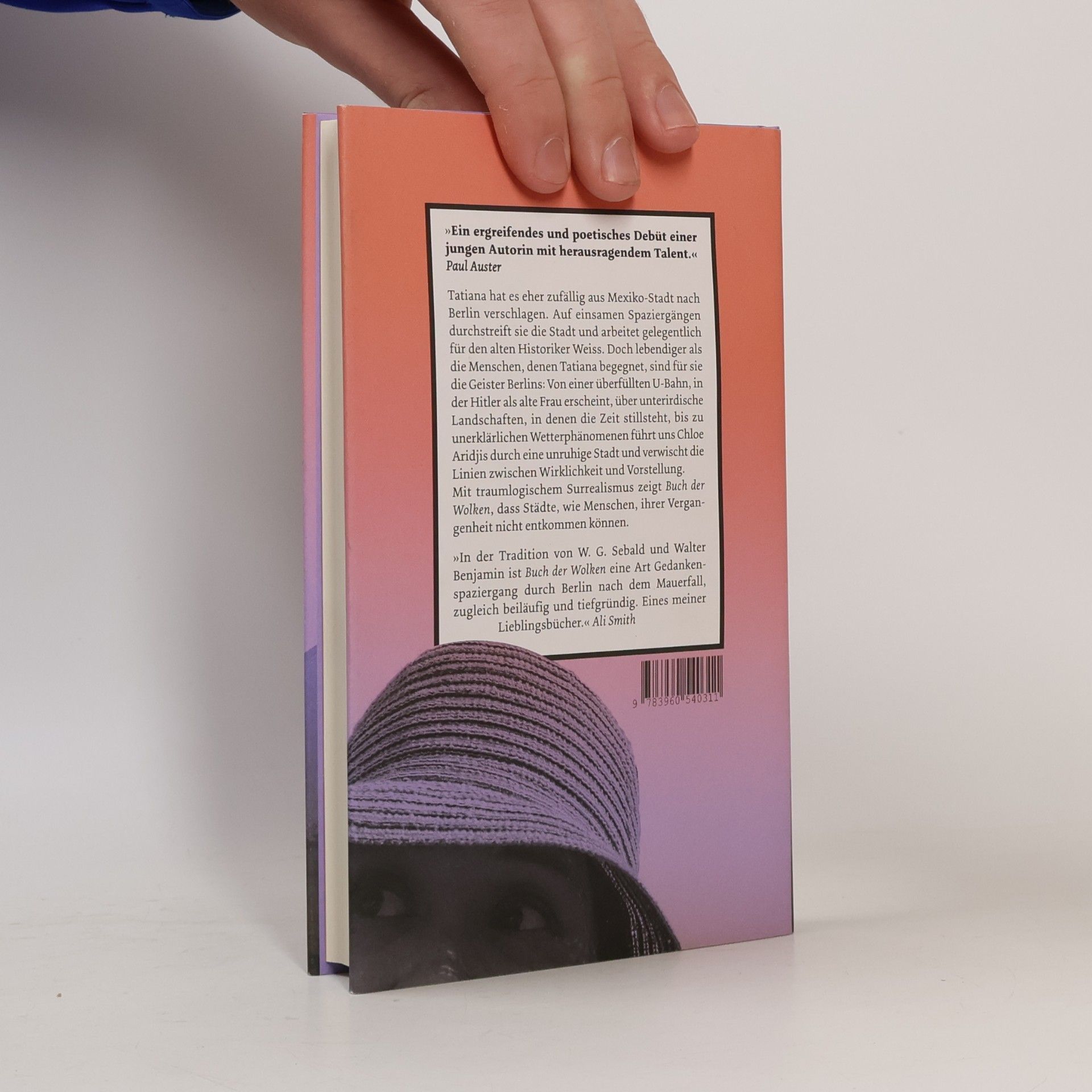 Chloe Aridjis Buch der Wolken