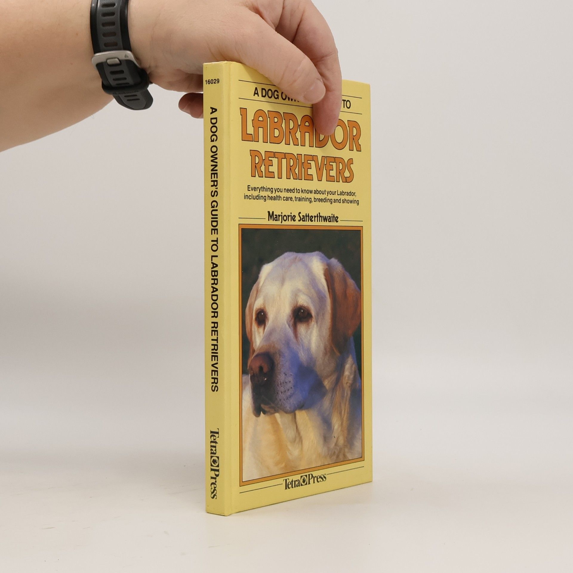 Dog Owners Guide to Labrador Retrievers