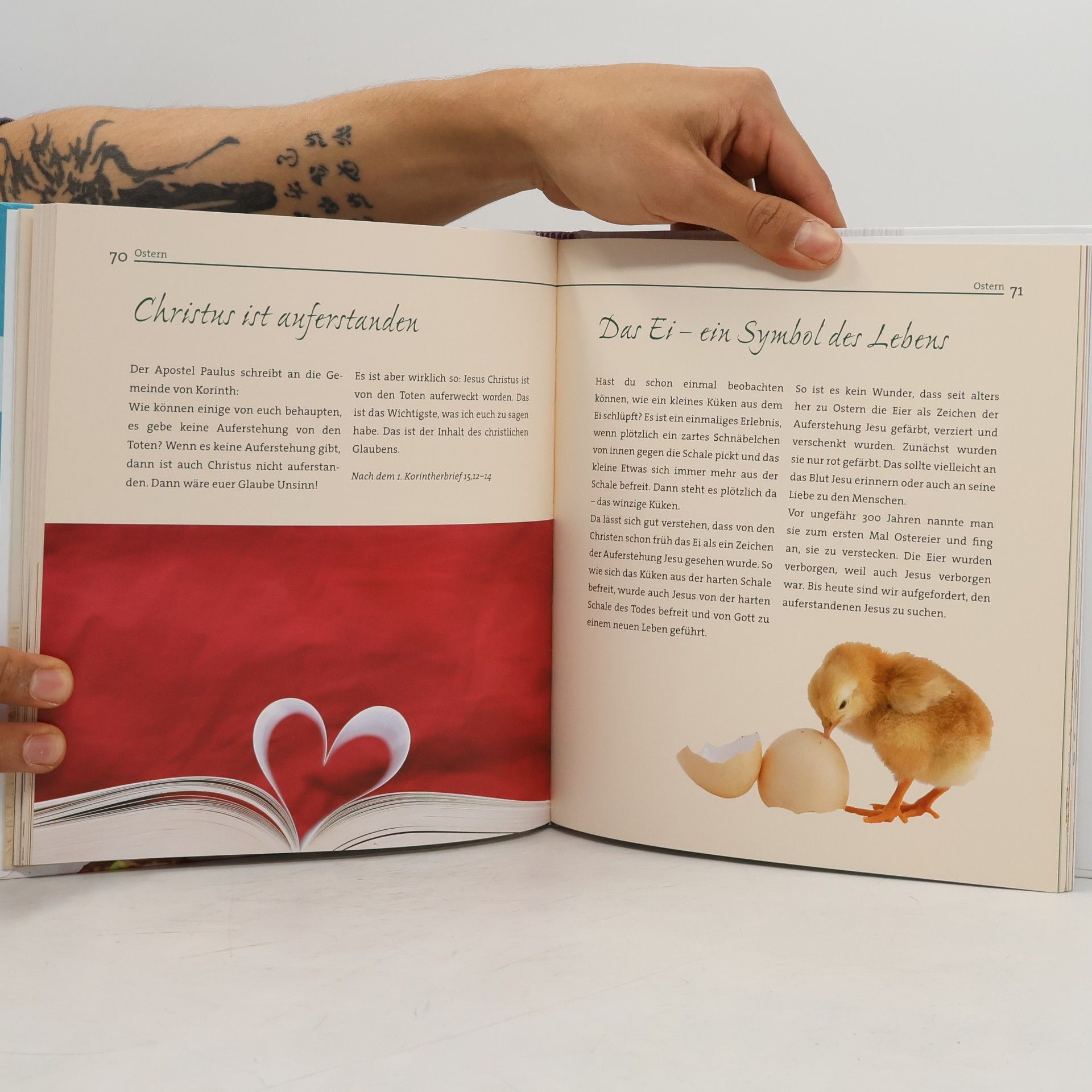 Reinhard Abeln Das große Hausbuch für die Fasten- & Osterzeit