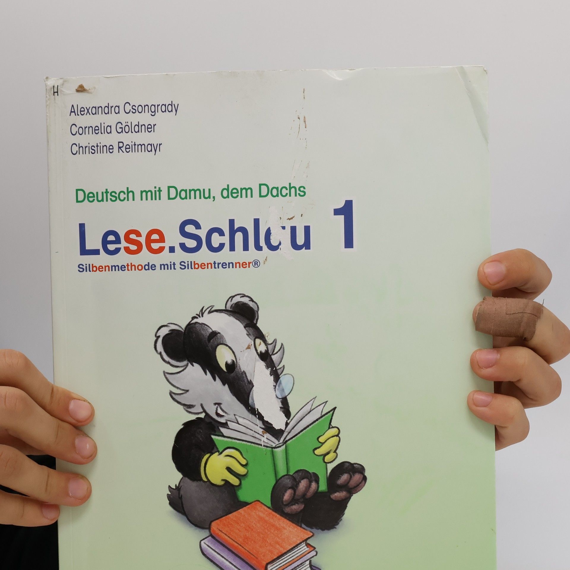 Alexandra Csongrady Lese.Schlau 1