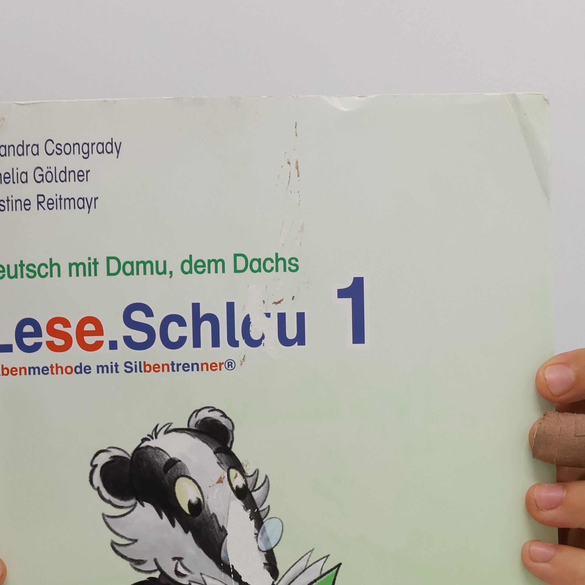Alexandra Csongrady Lese.Schlau 1