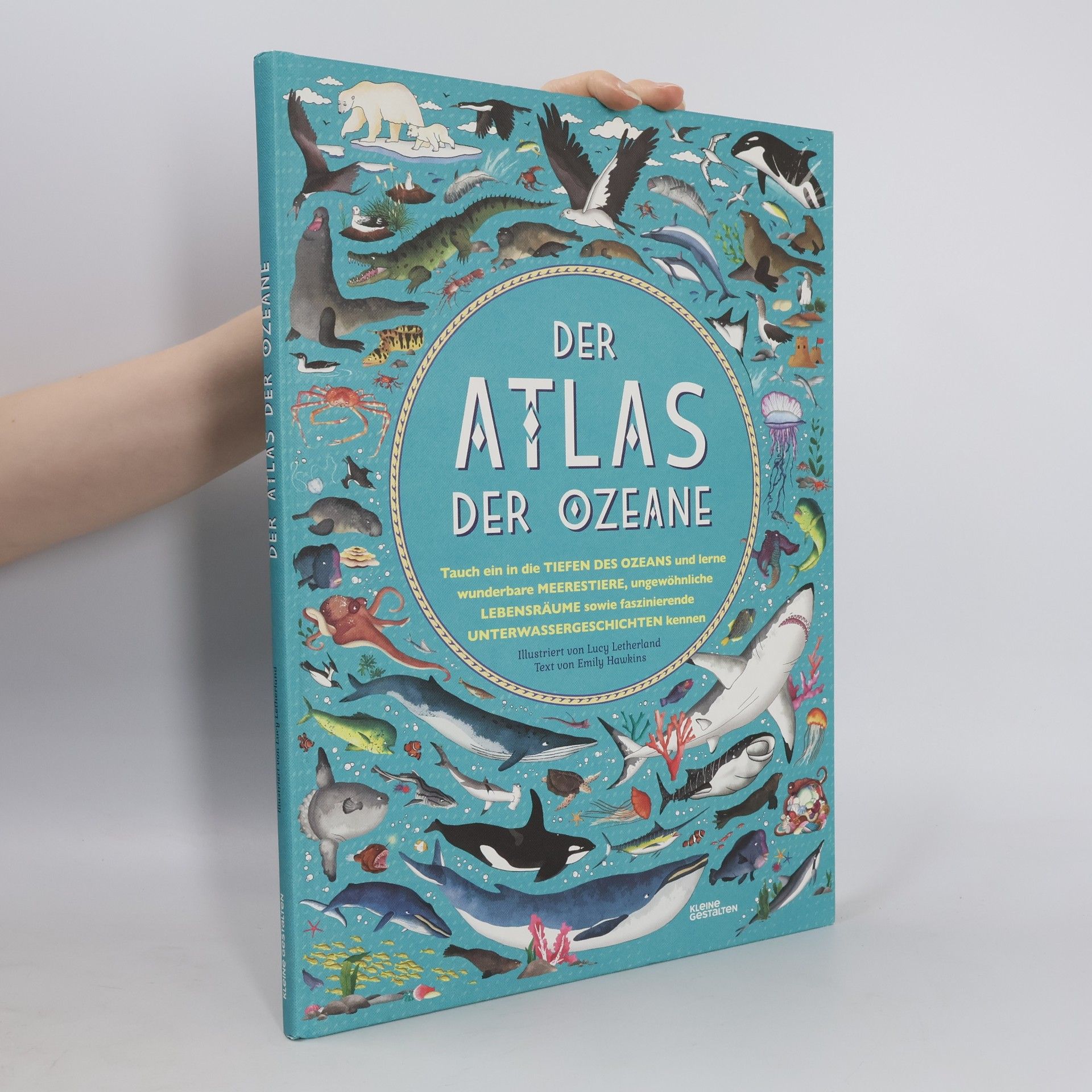 Emily Hawkins Der Atlas der Ozeane