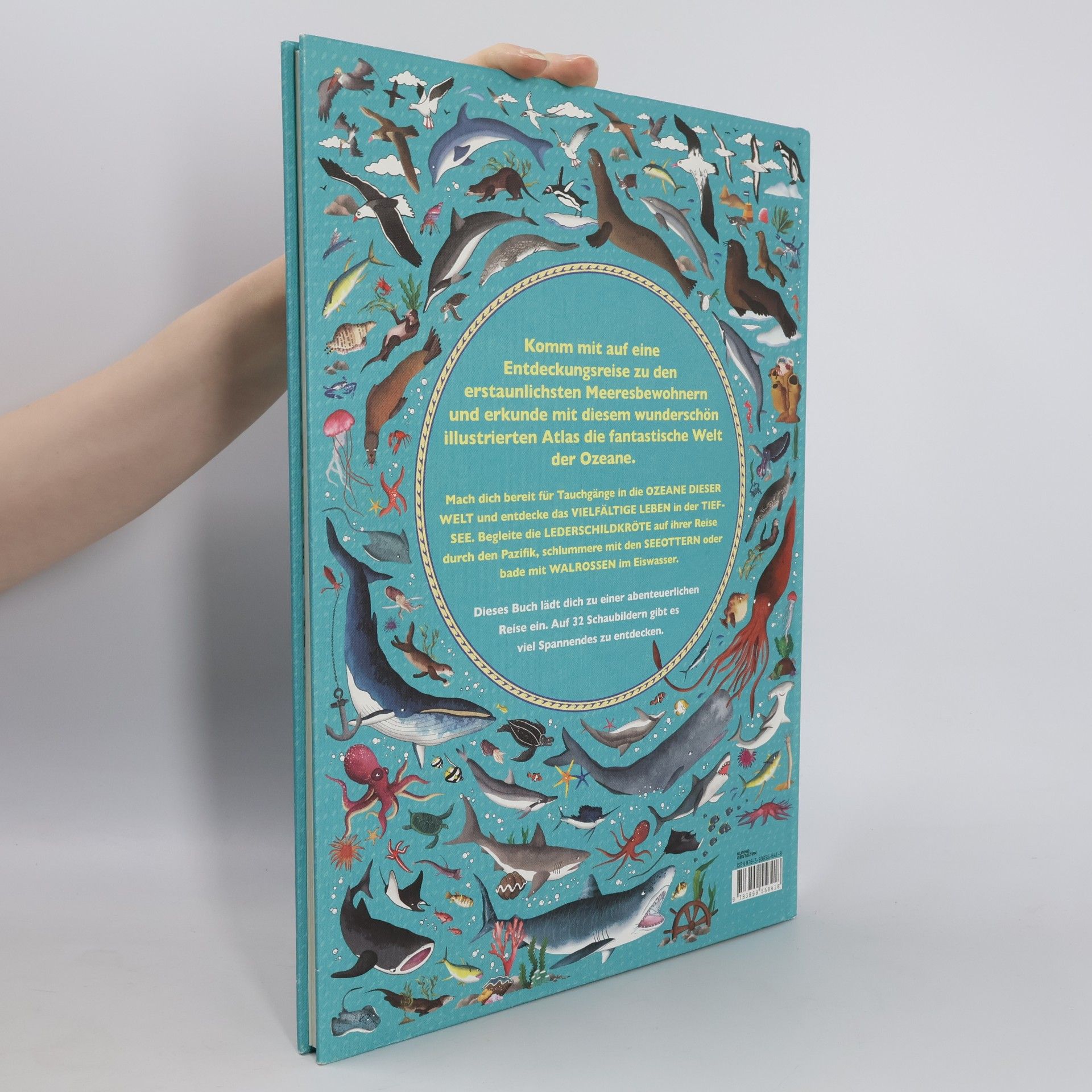 Emily Hawkins Der Atlas der Ozeane