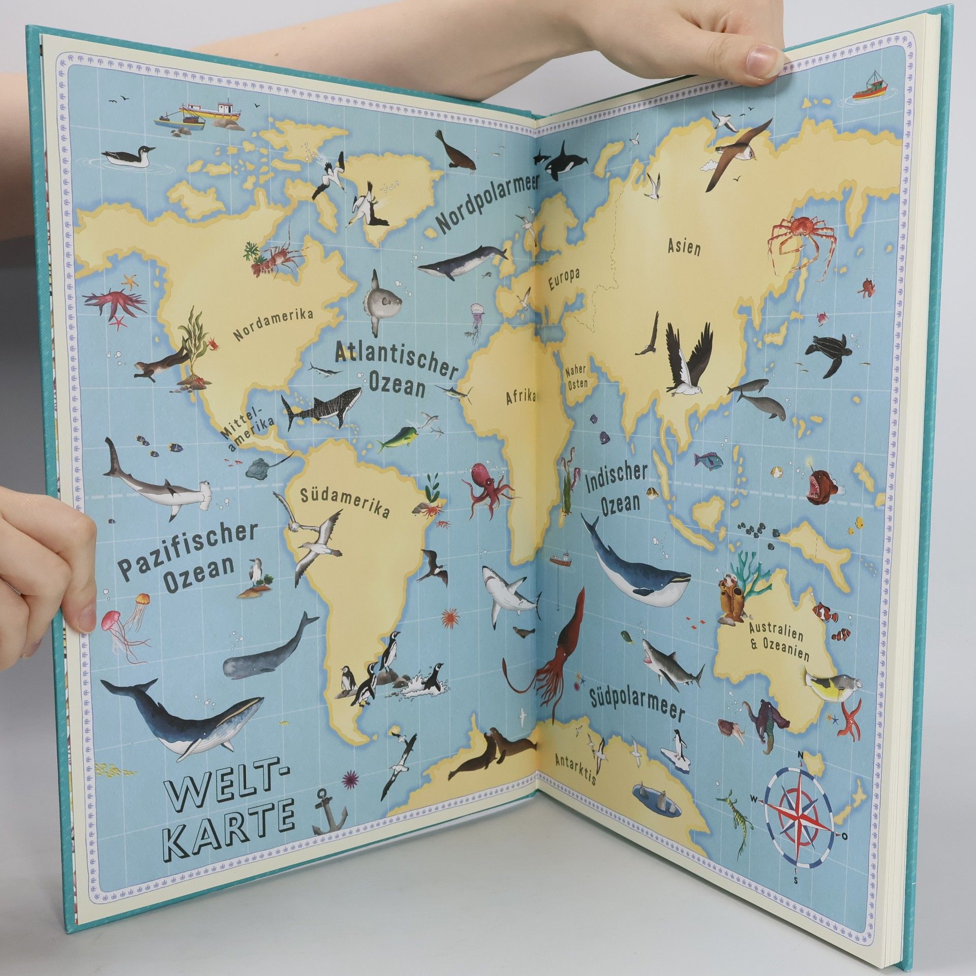 Emily Hawkins Der Atlas der Ozeane