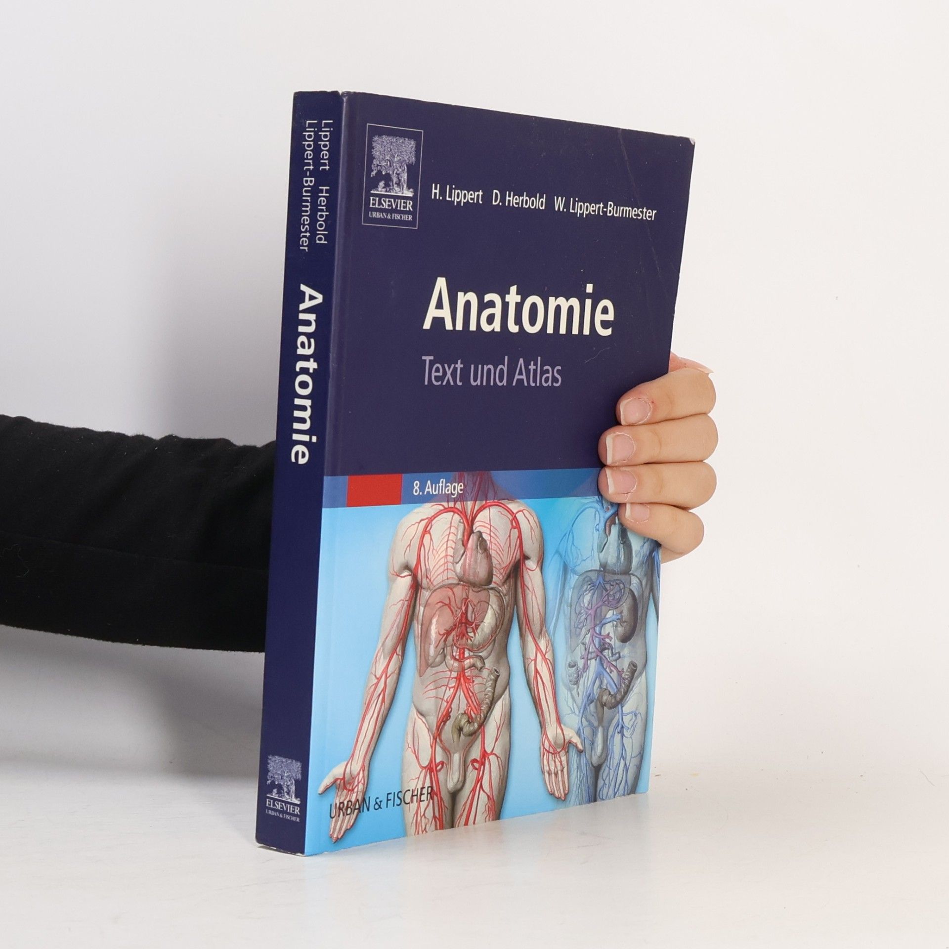 Herbert Lippert Anatomie