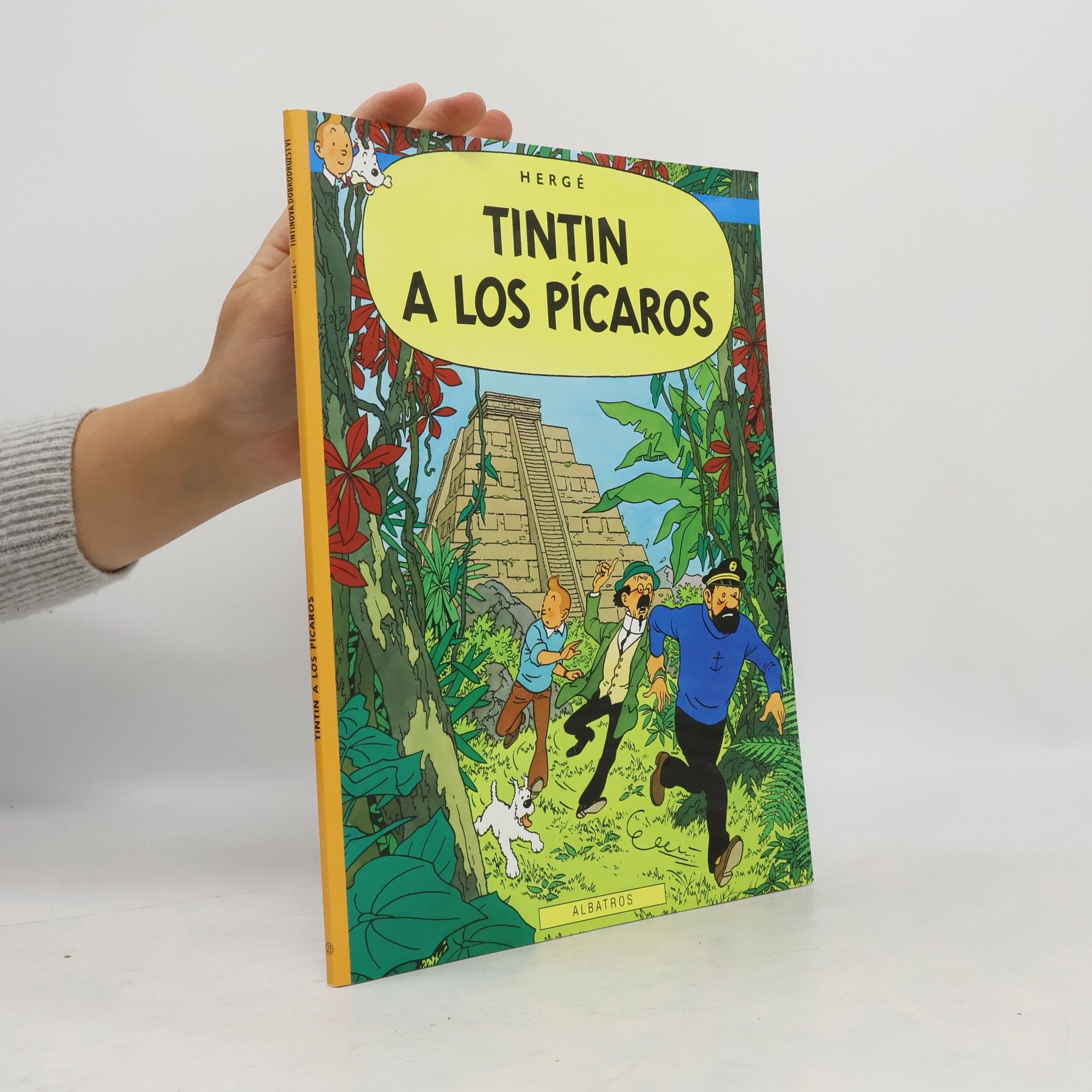 Tintin a los Pícaros
