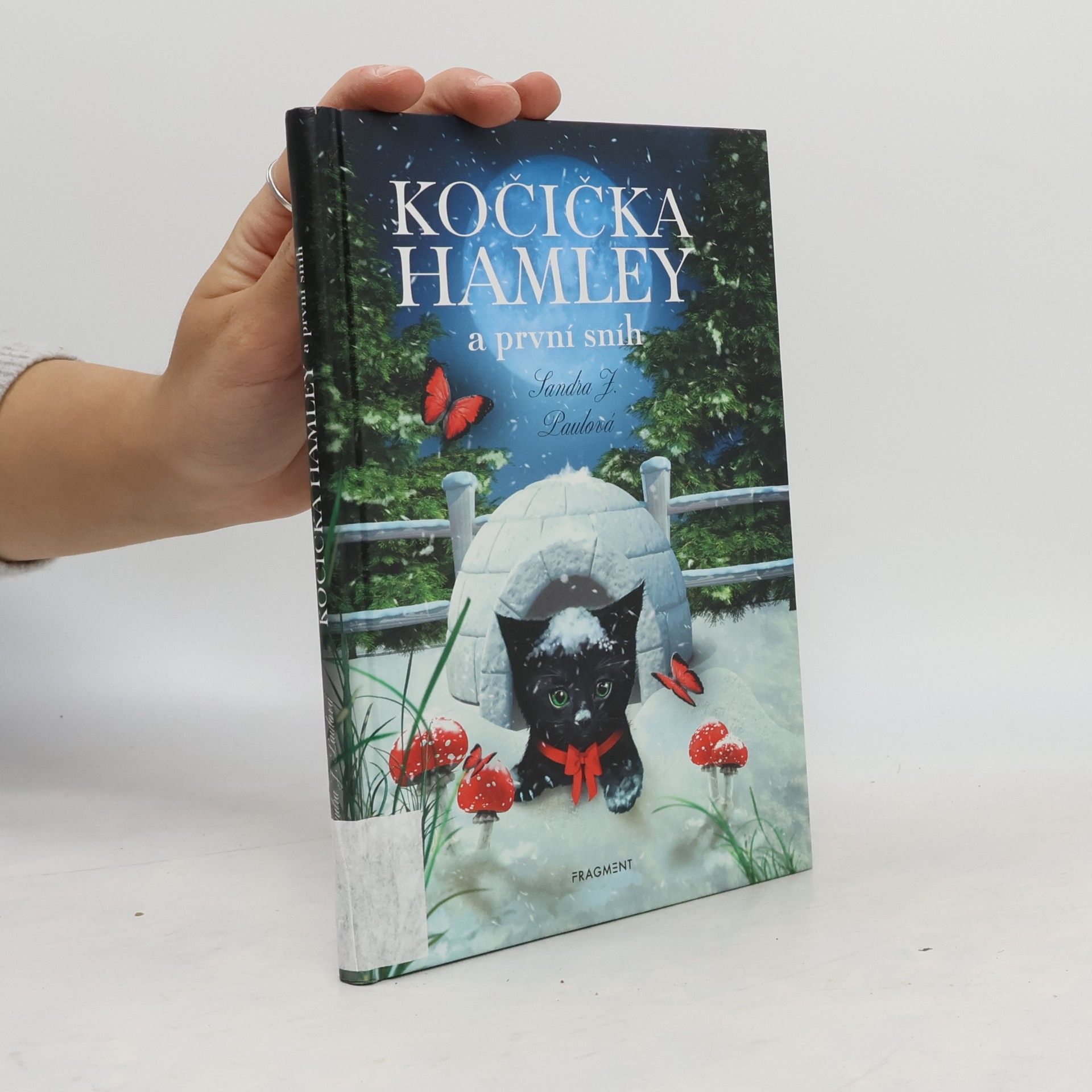 Kočička Hamley a první sníh