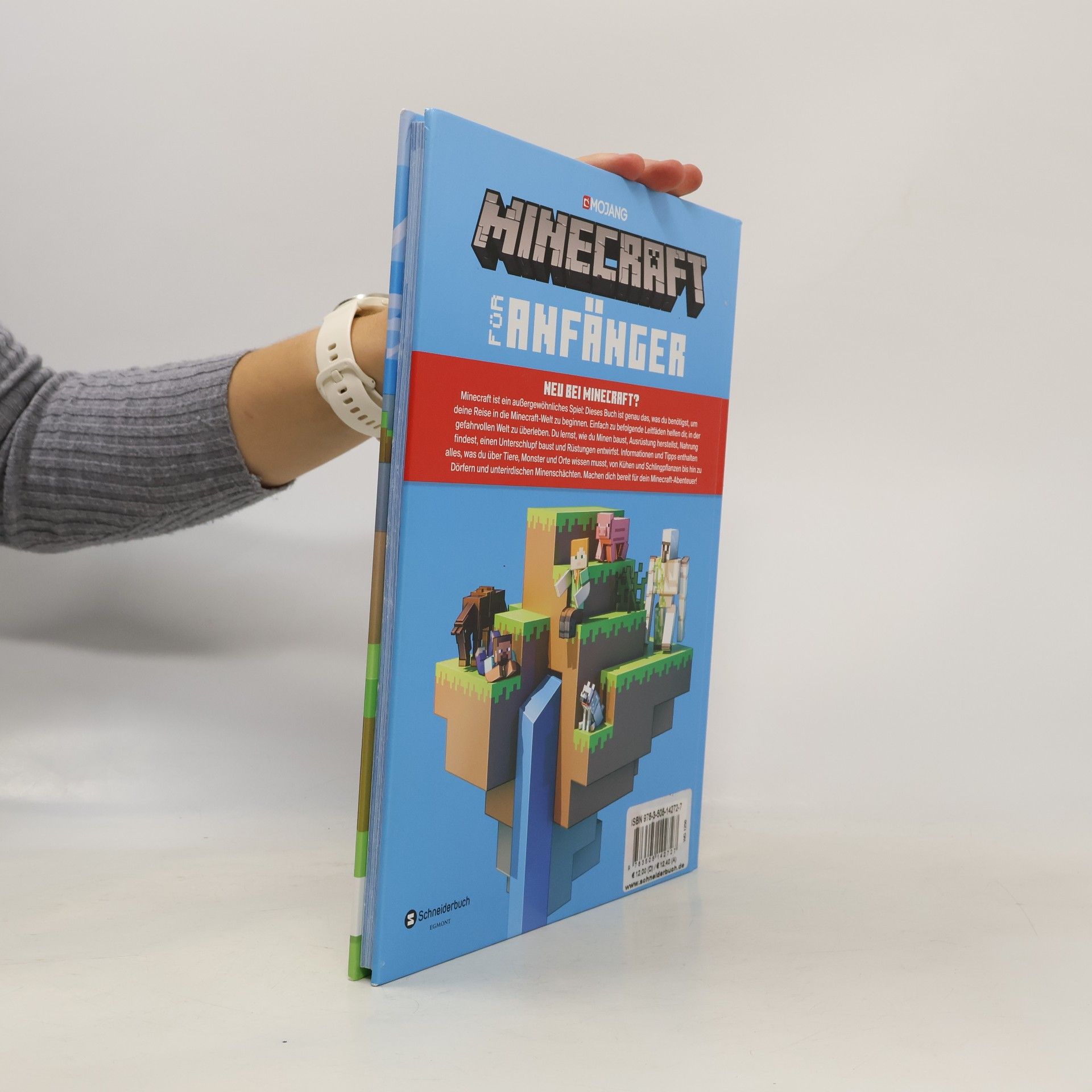 Stephanie Milton Minecraft für Anfänger
