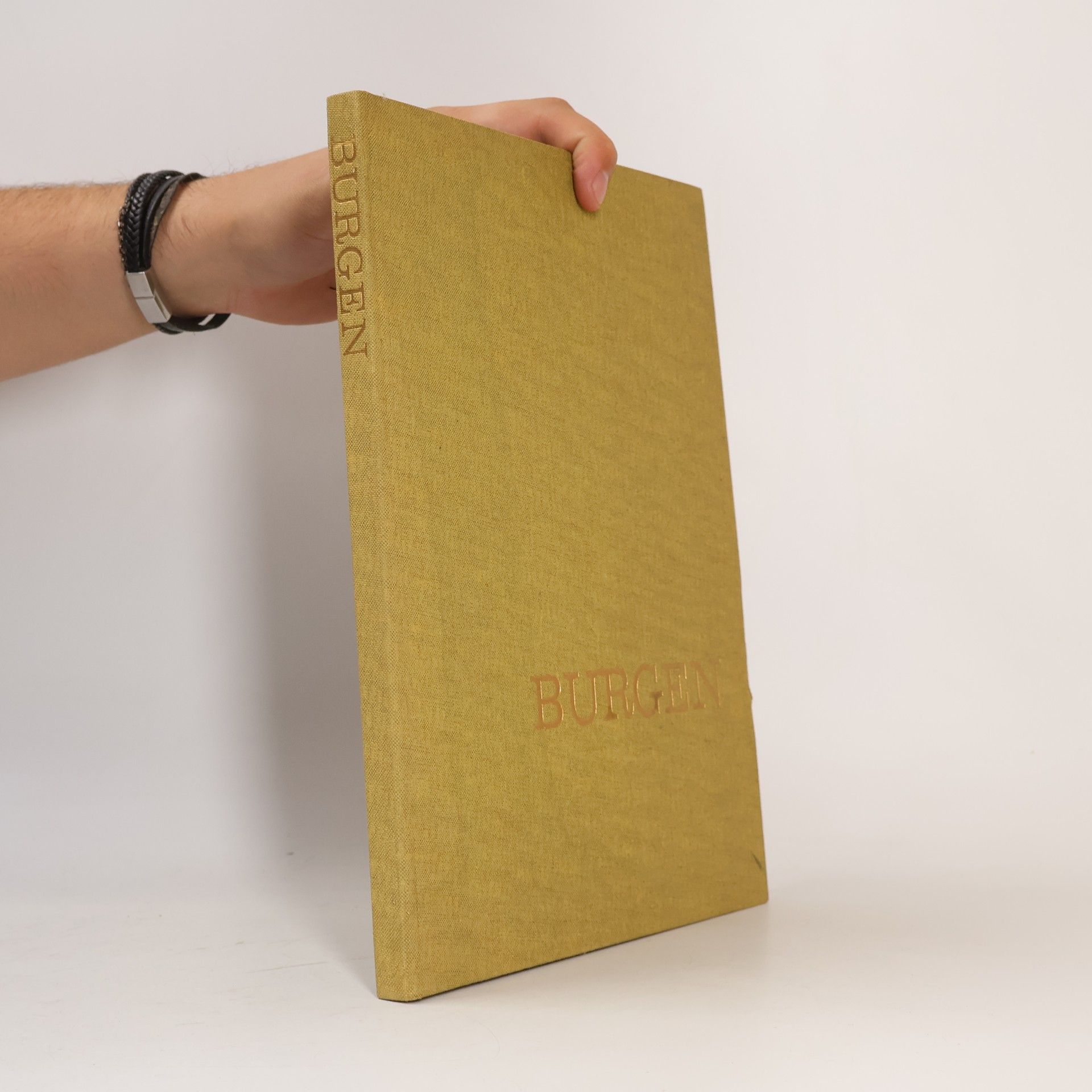 Various authors Burgen