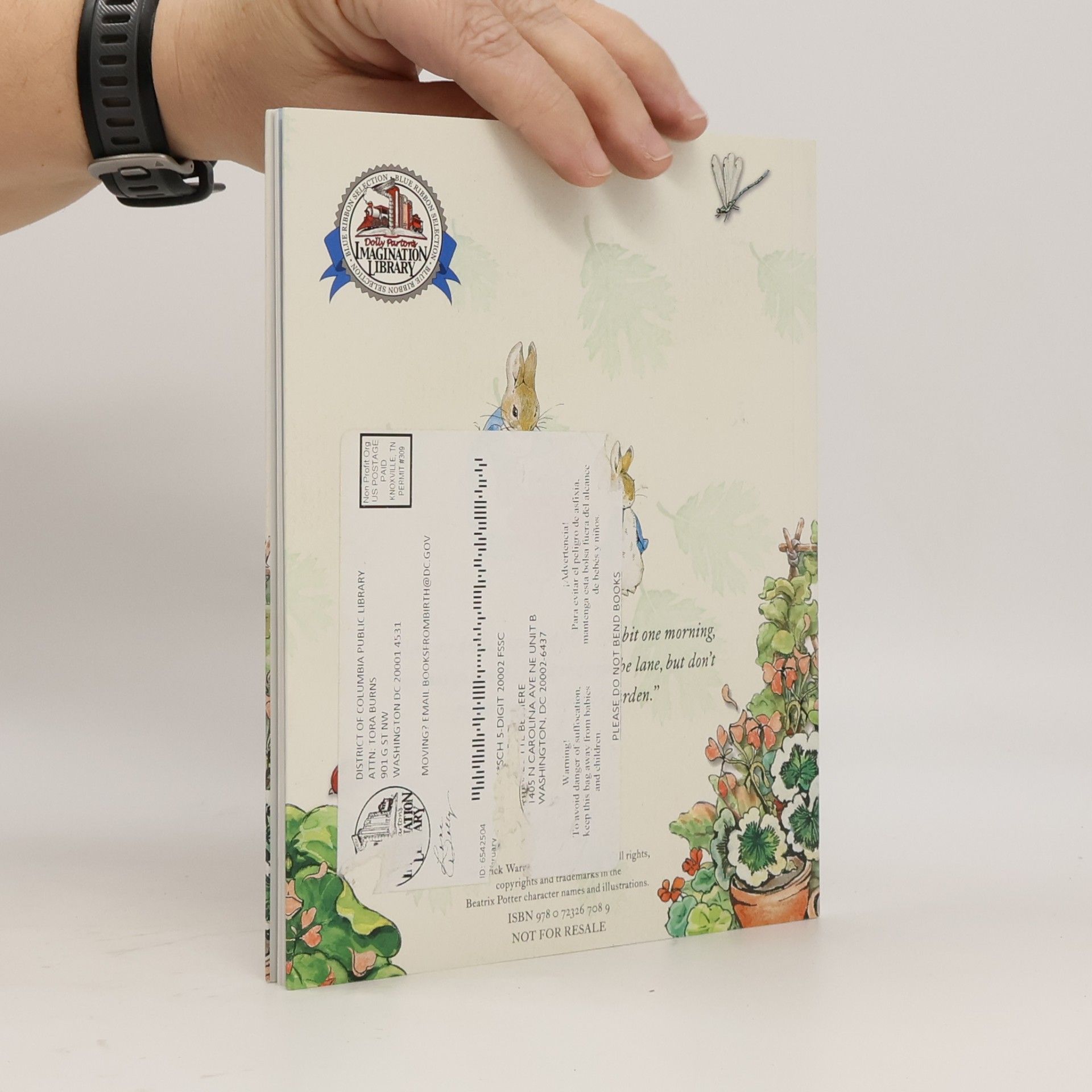 Beatrix Potter The Tale of Peter Rabbit