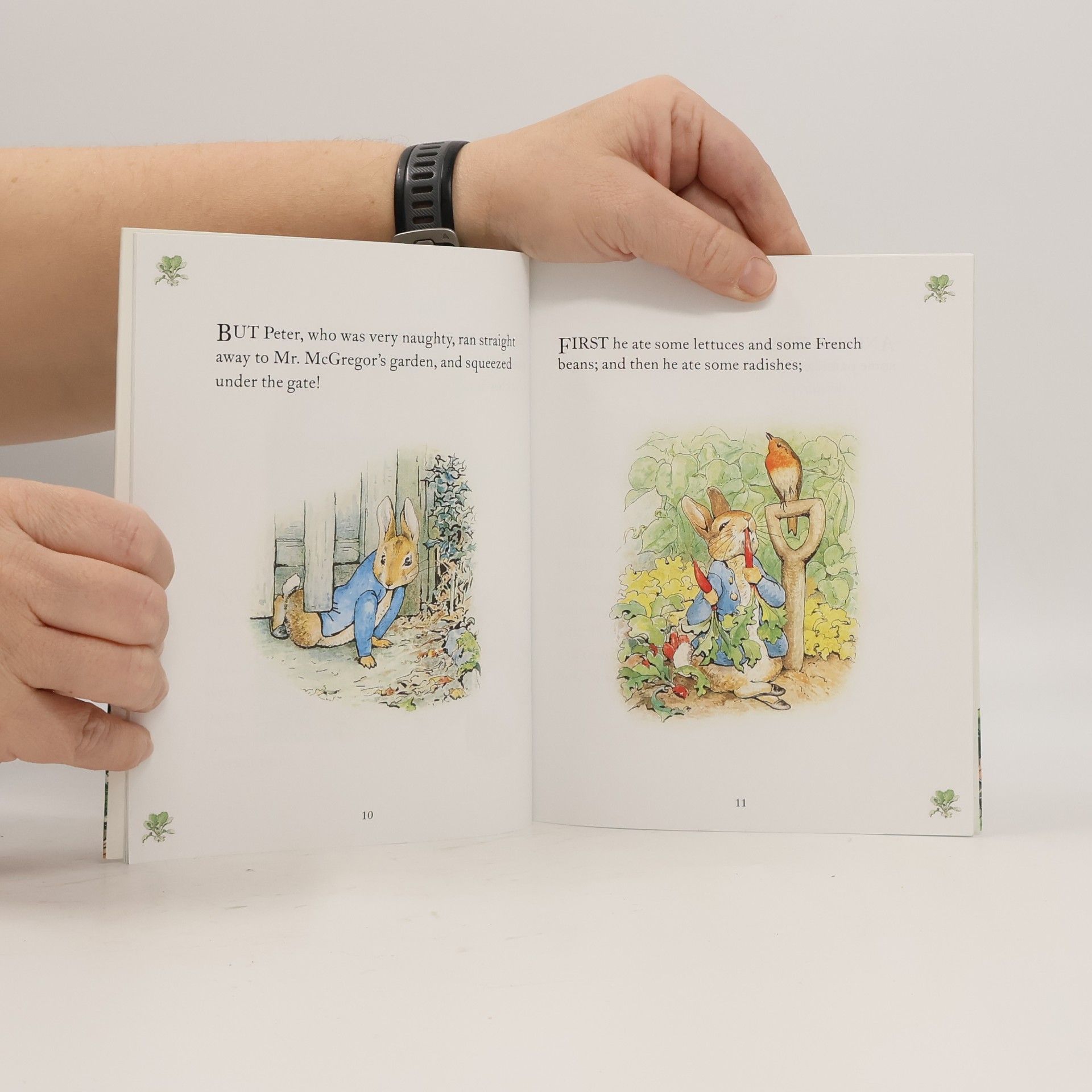 Beatrix Potter The Tale of Peter Rabbit